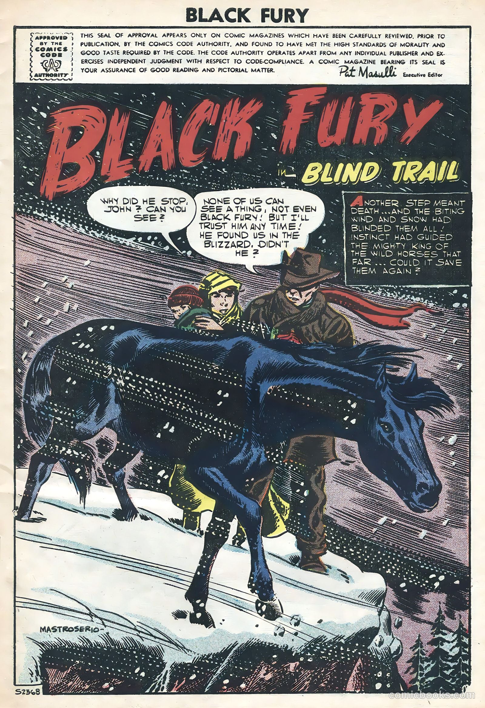 Black Fury #11 — page 3 of 36