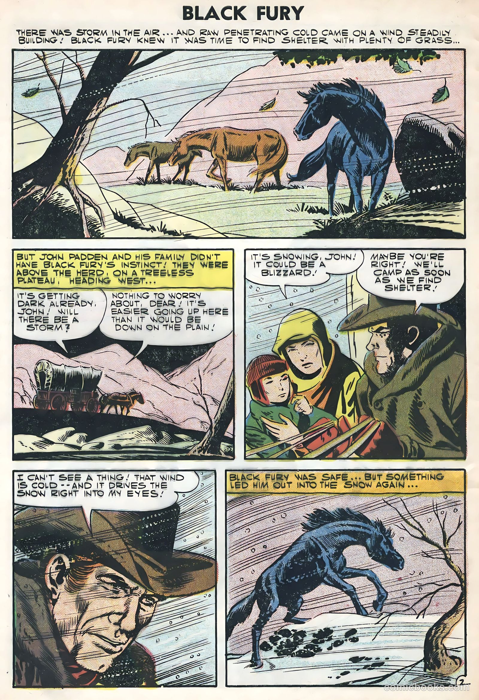 Black Fury #11 — page 4 of 36