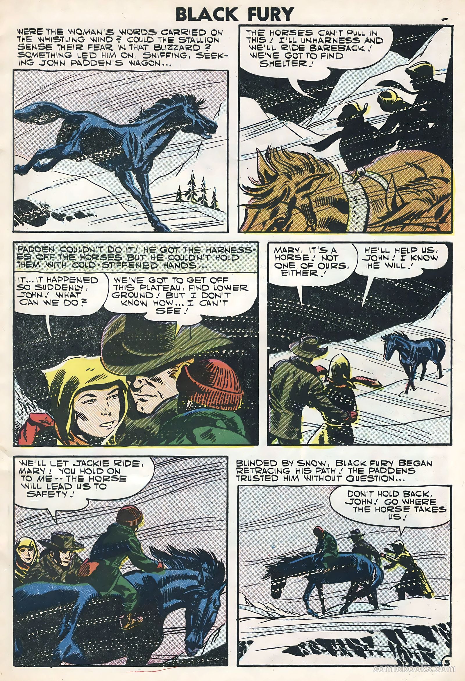 Black Fury #11 — page 5 of 36