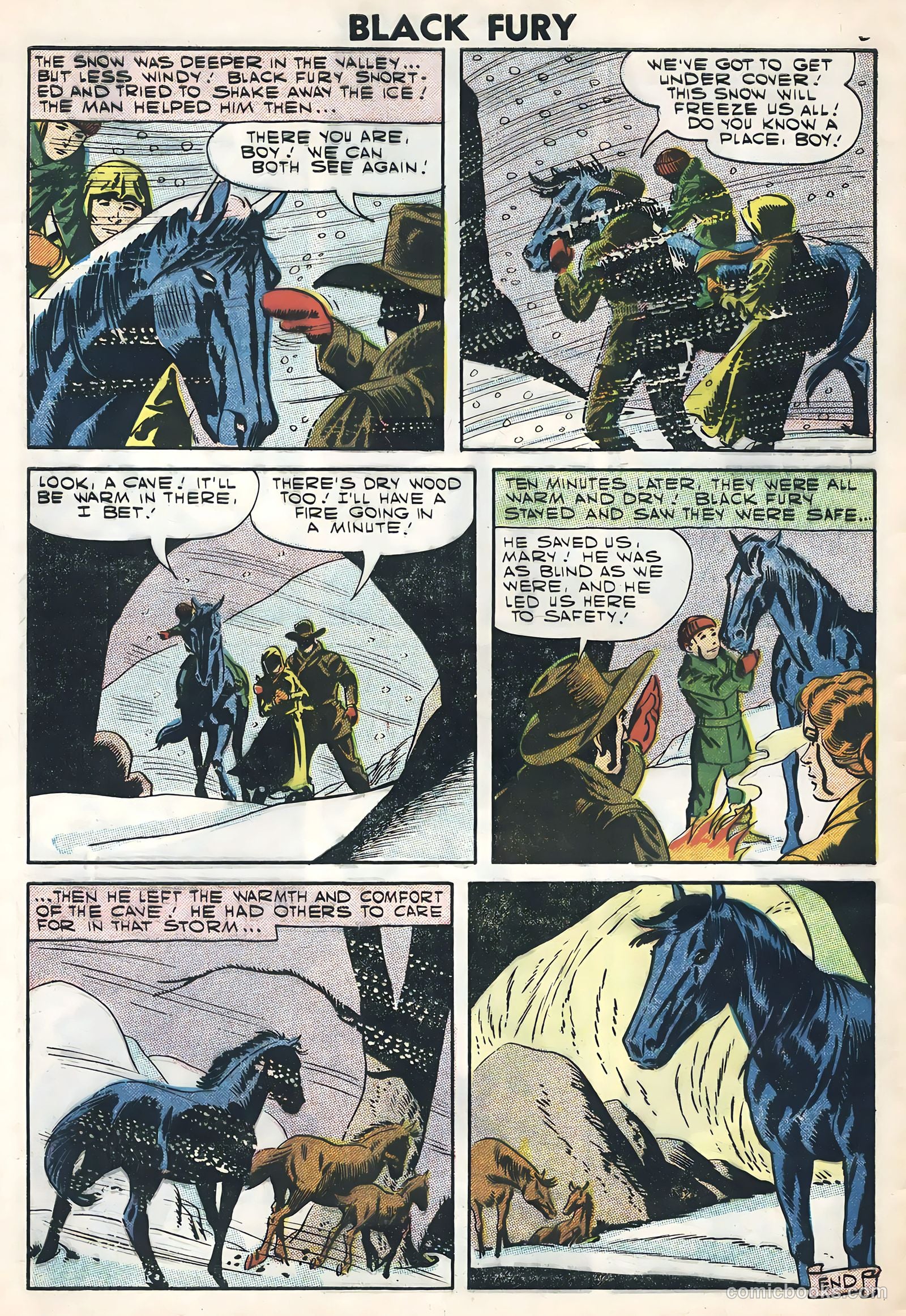 Black Fury #11 — page 8 of 36