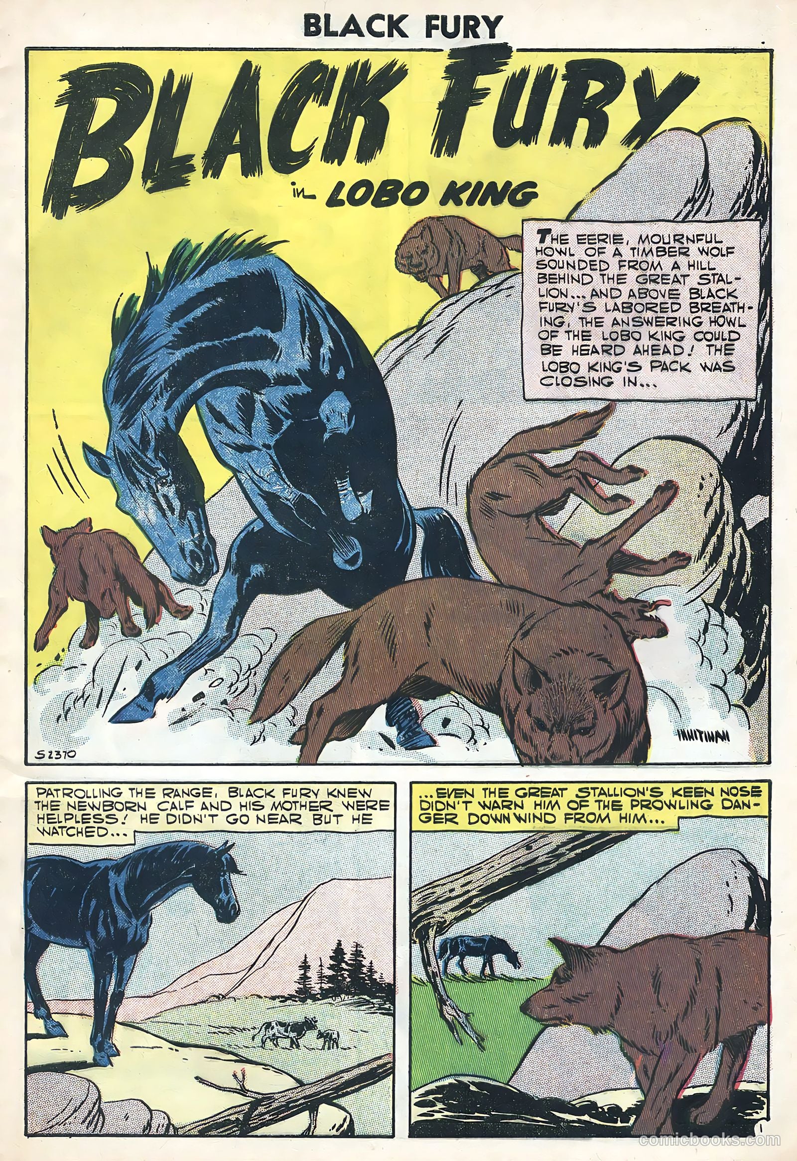 Black Fury #11 — page 9 of 36