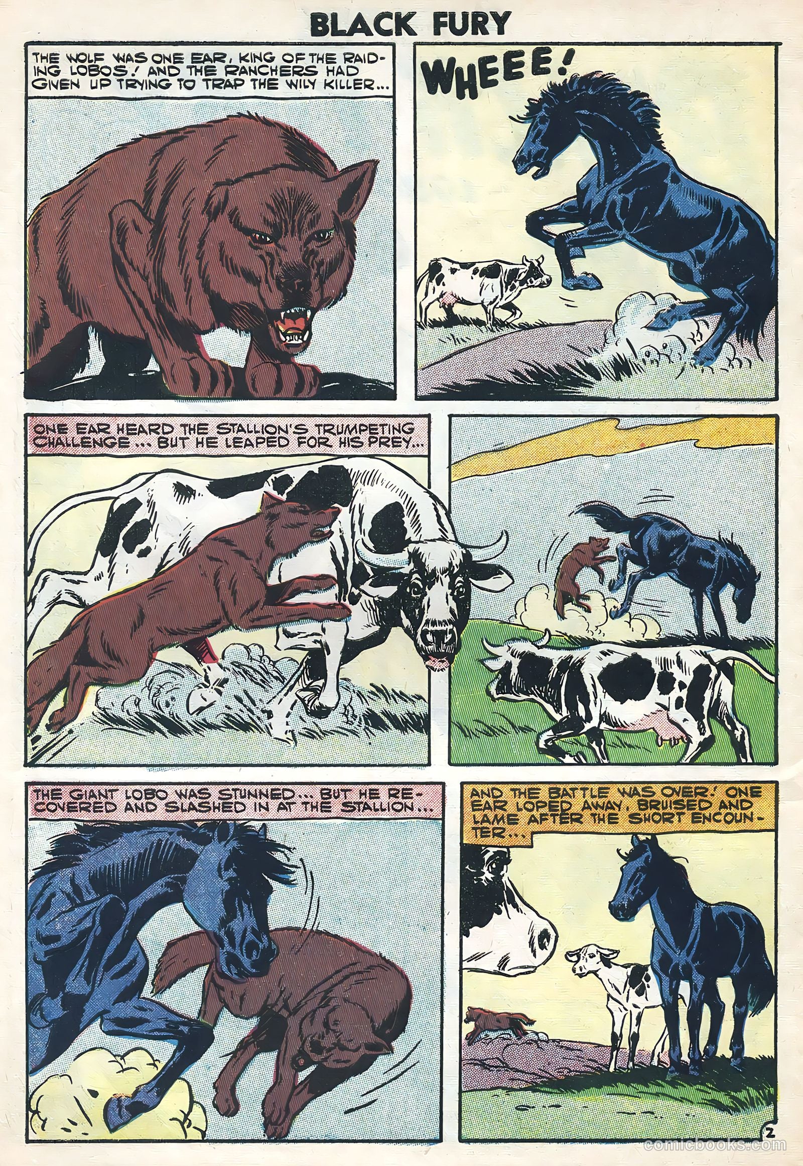 Black Fury #11 — page 10 of 36