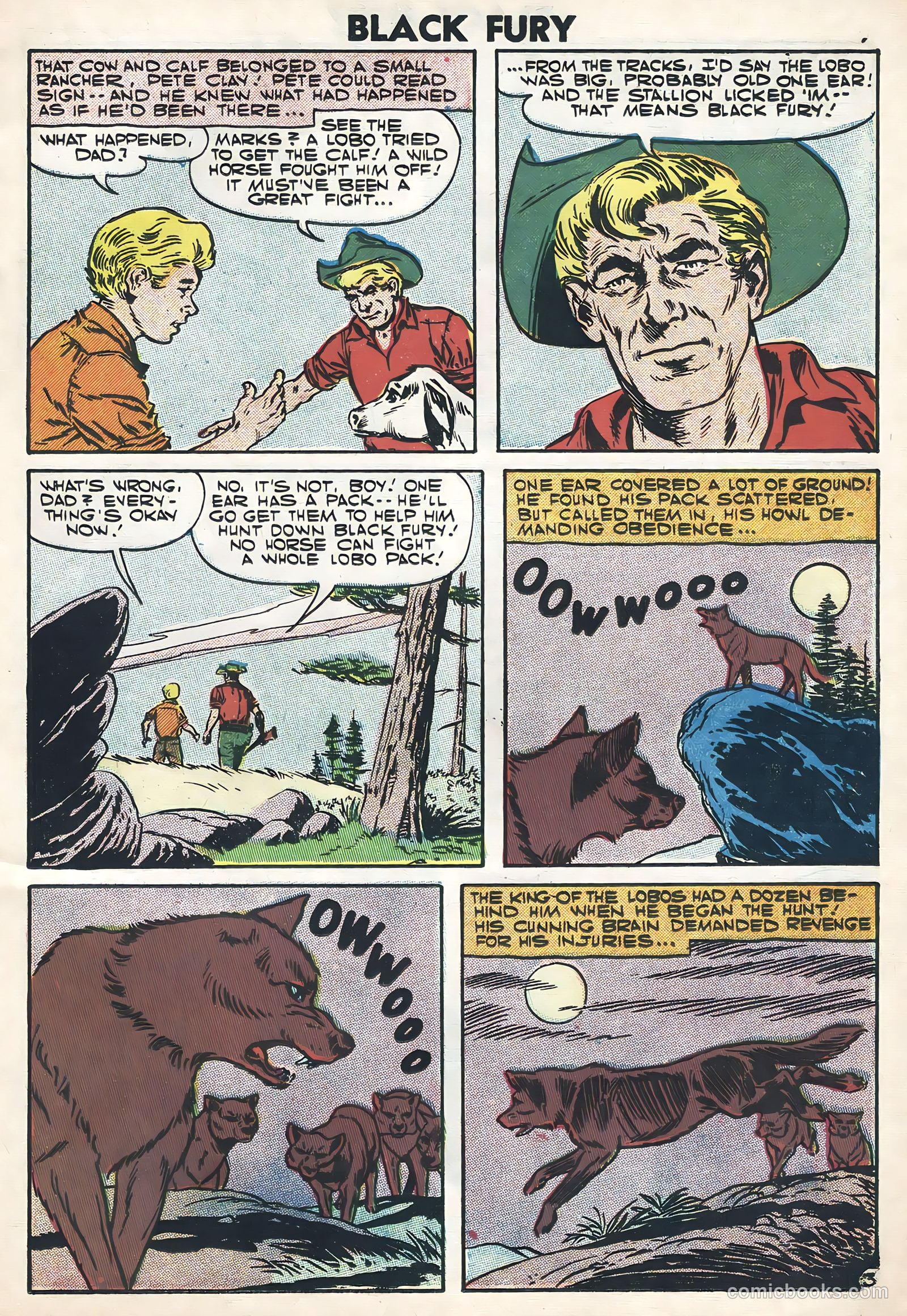 Black Fury #11 — page 11 of 36