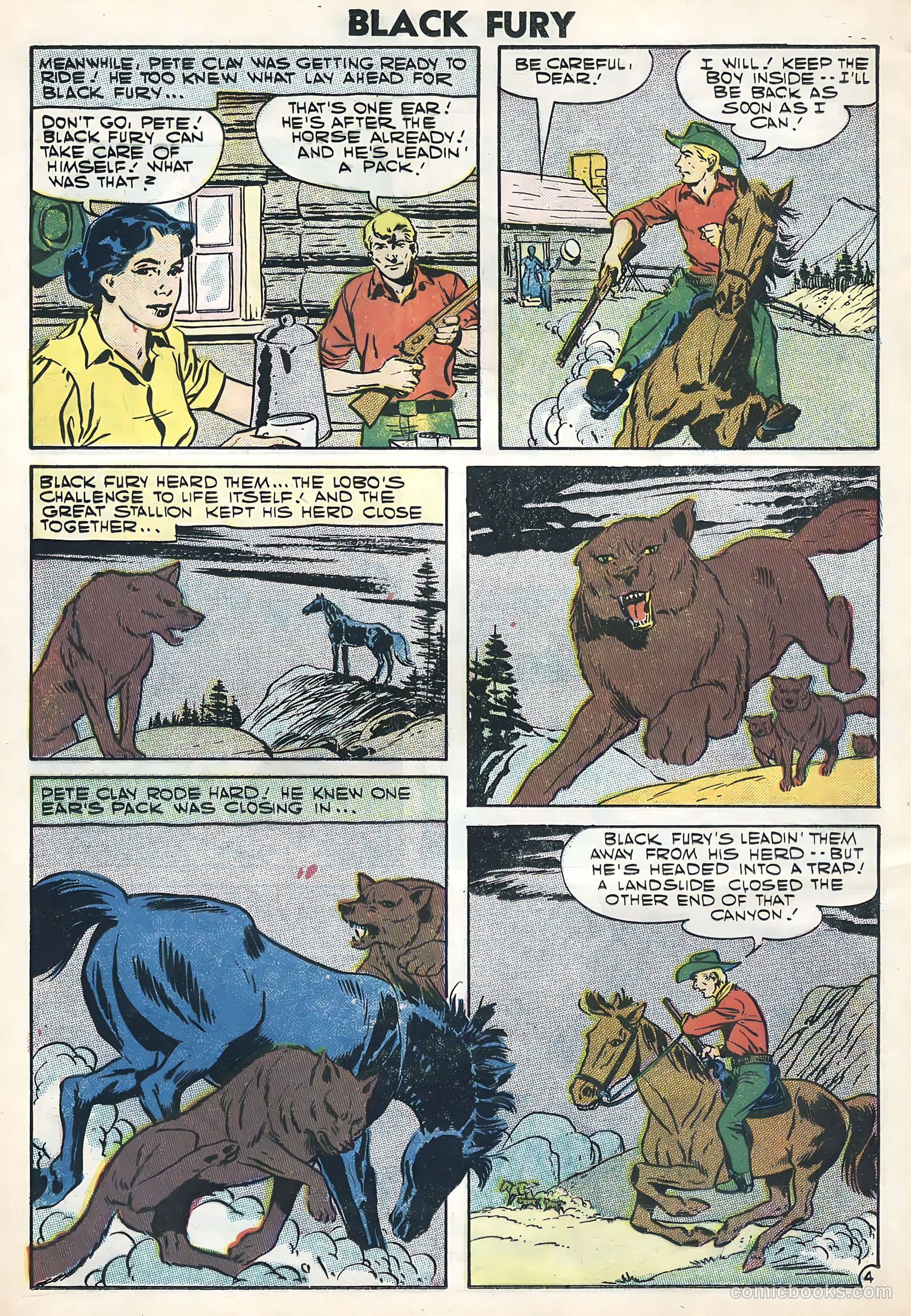 Black Fury #11 — page 12 of 36