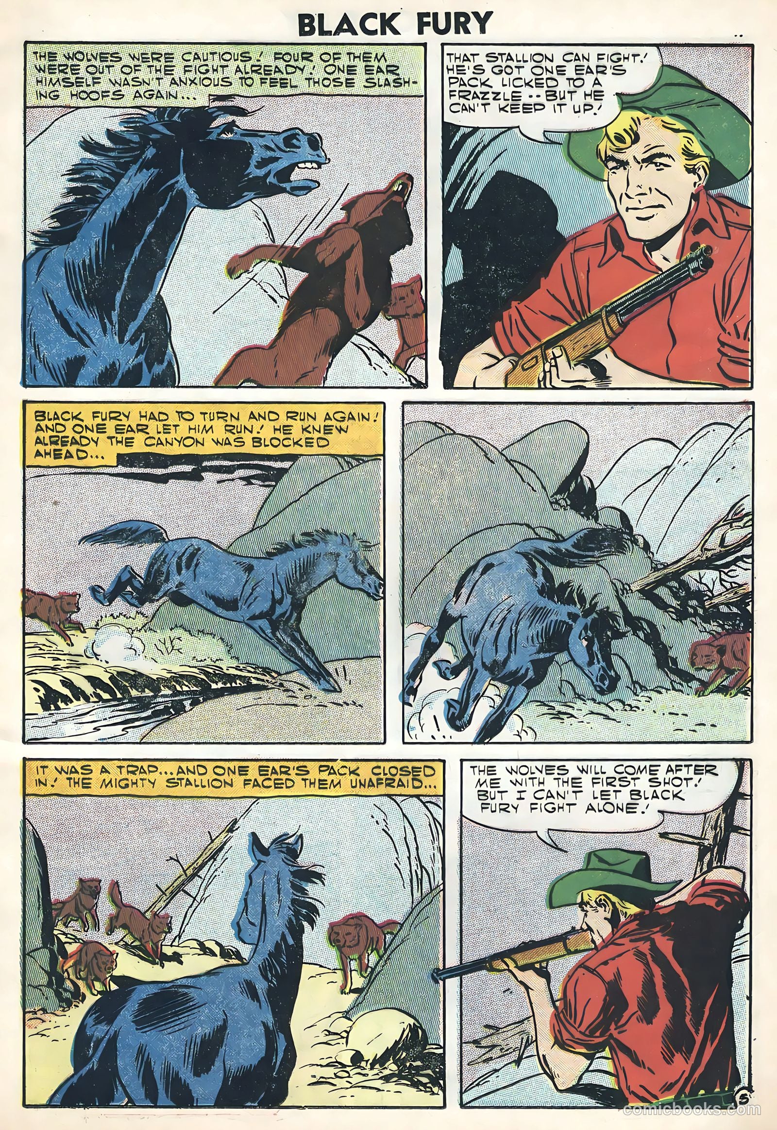 Black Fury #11 — page 13 of 36