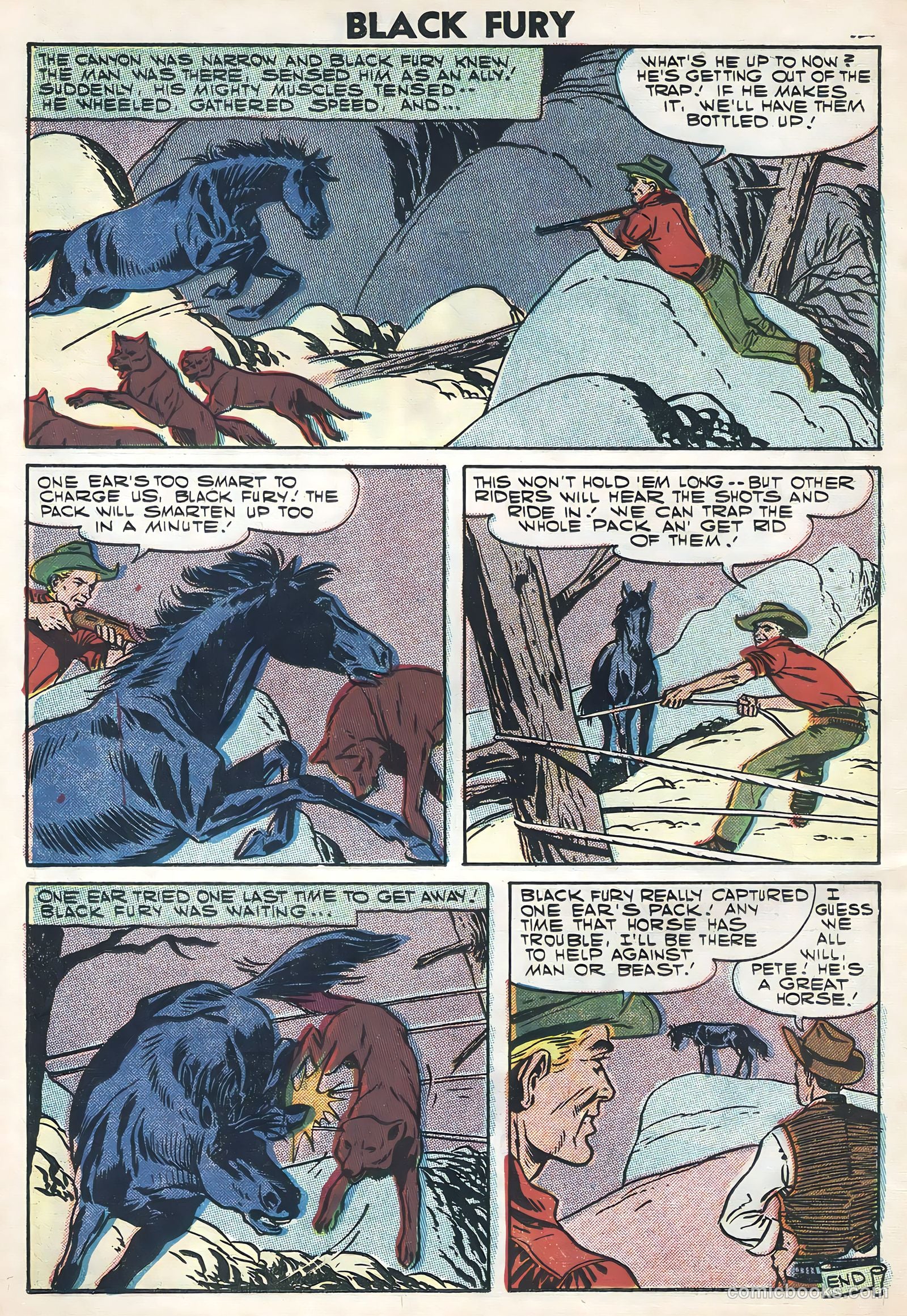 Black Fury #11 — page 14 of 36