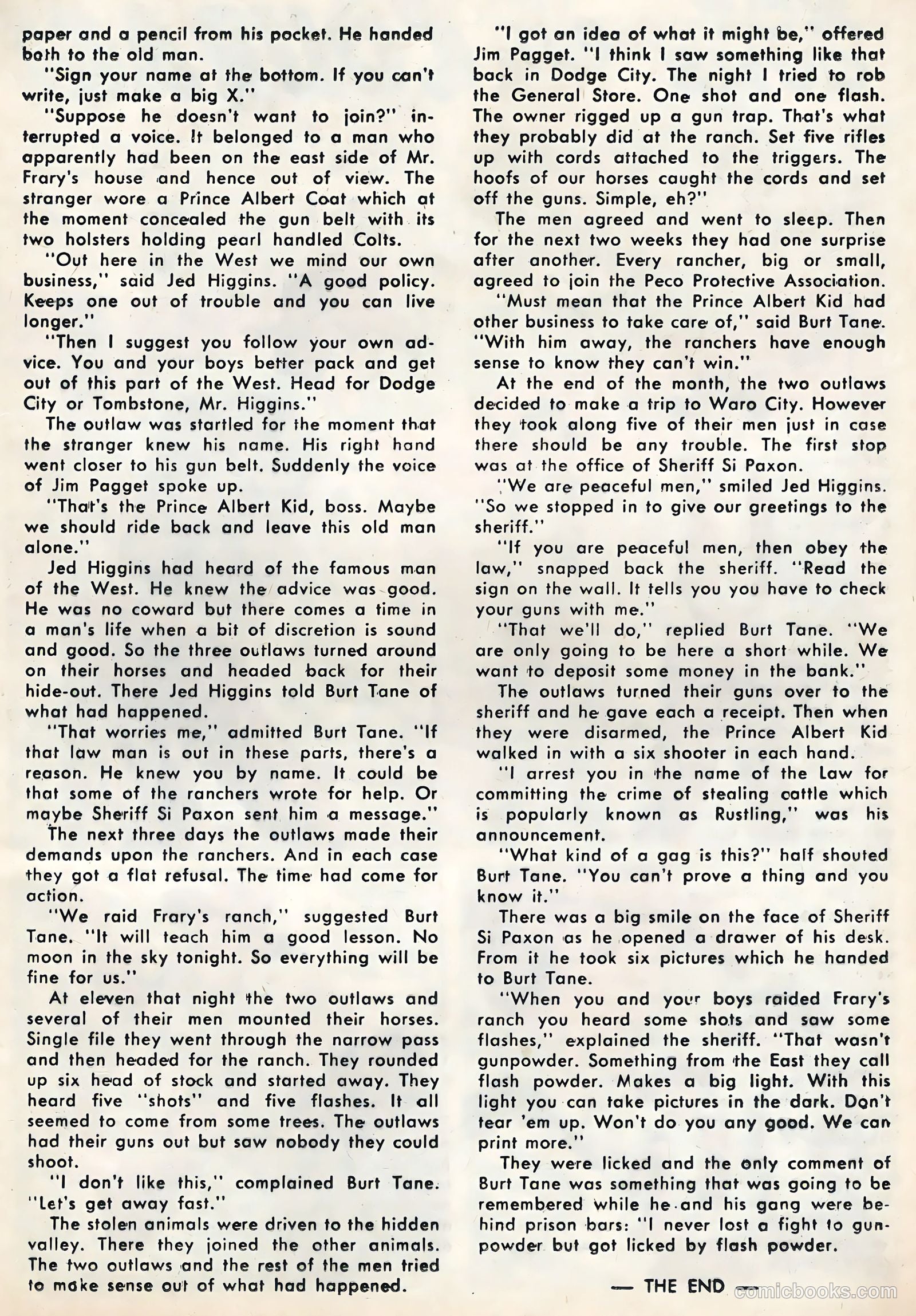 Black Fury #11 — page 17 of 36