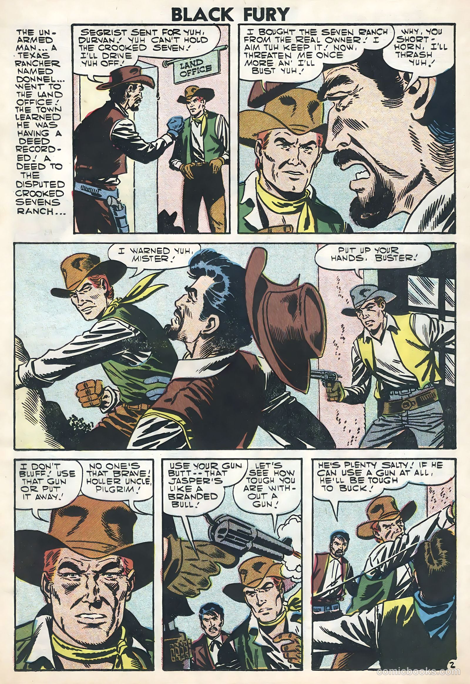 Black Fury #11 — page 19 of 36
