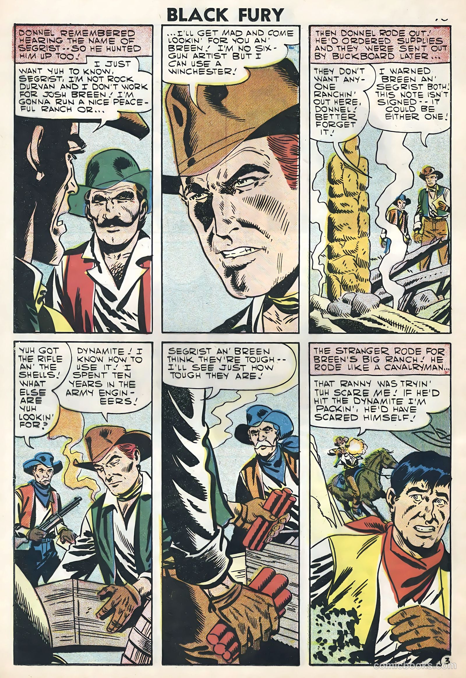 Black Fury #11 — page 20 of 36