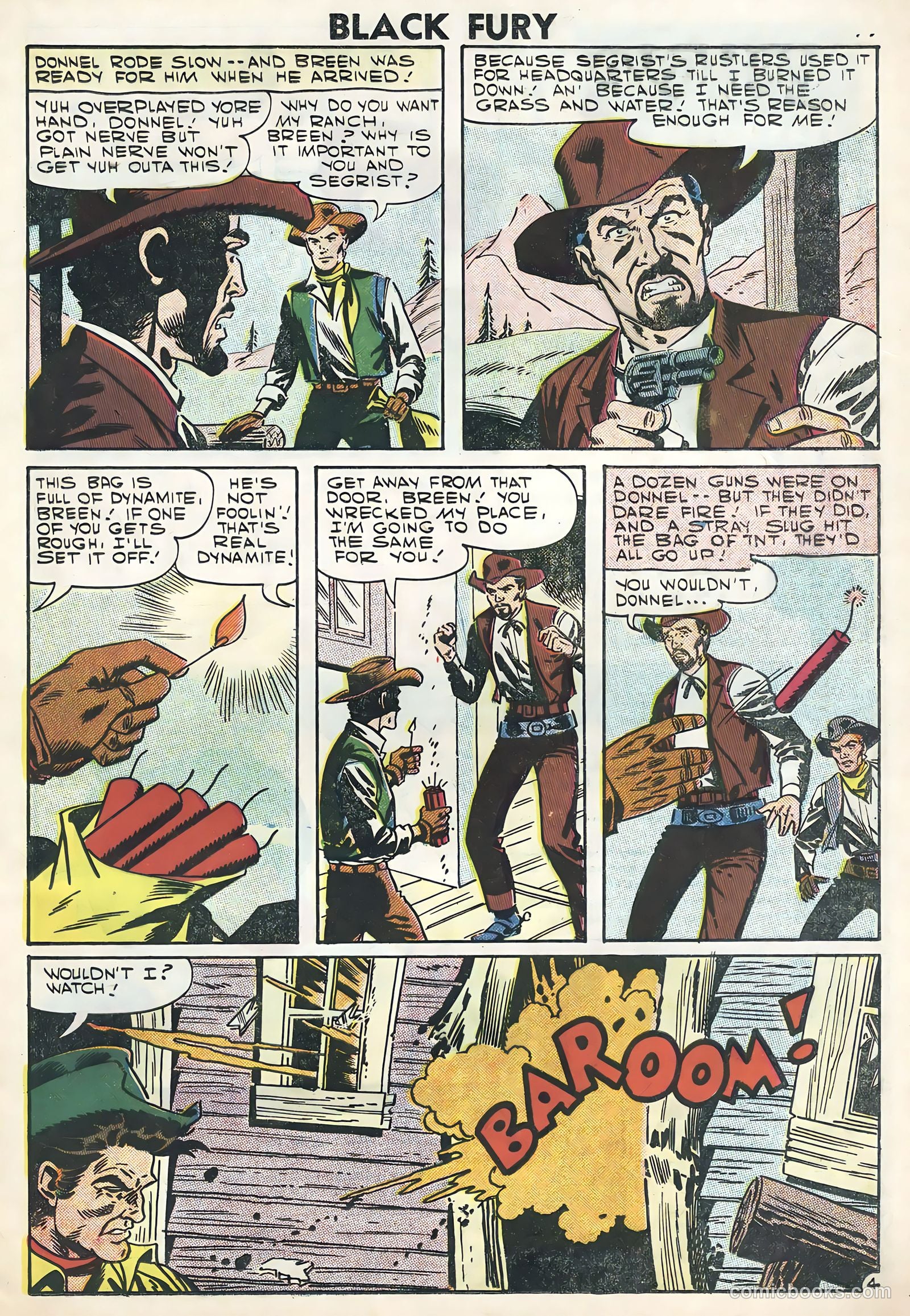 Black Fury #11 — page 21 of 36