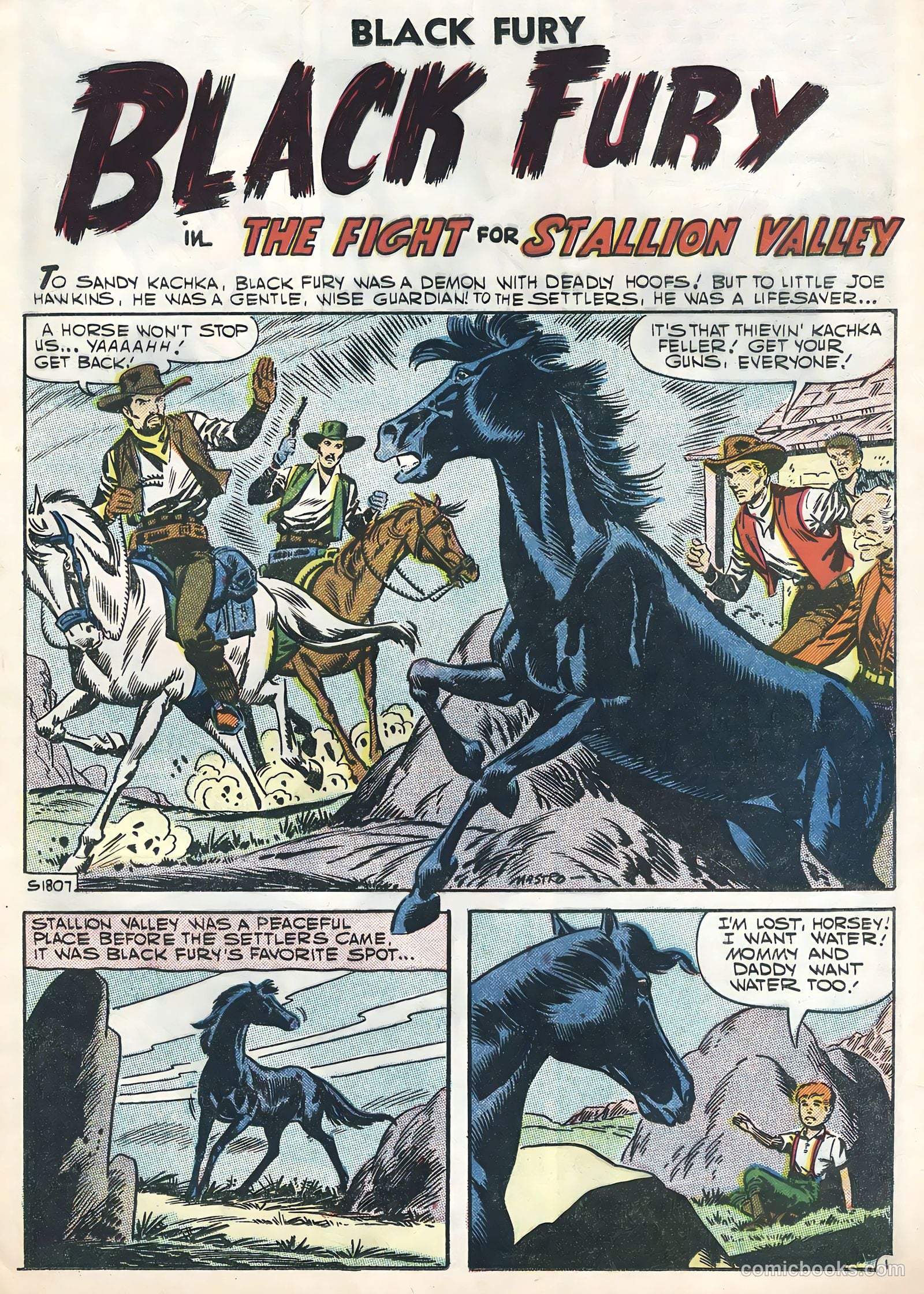 Black Fury #11 — page 25 of 36
