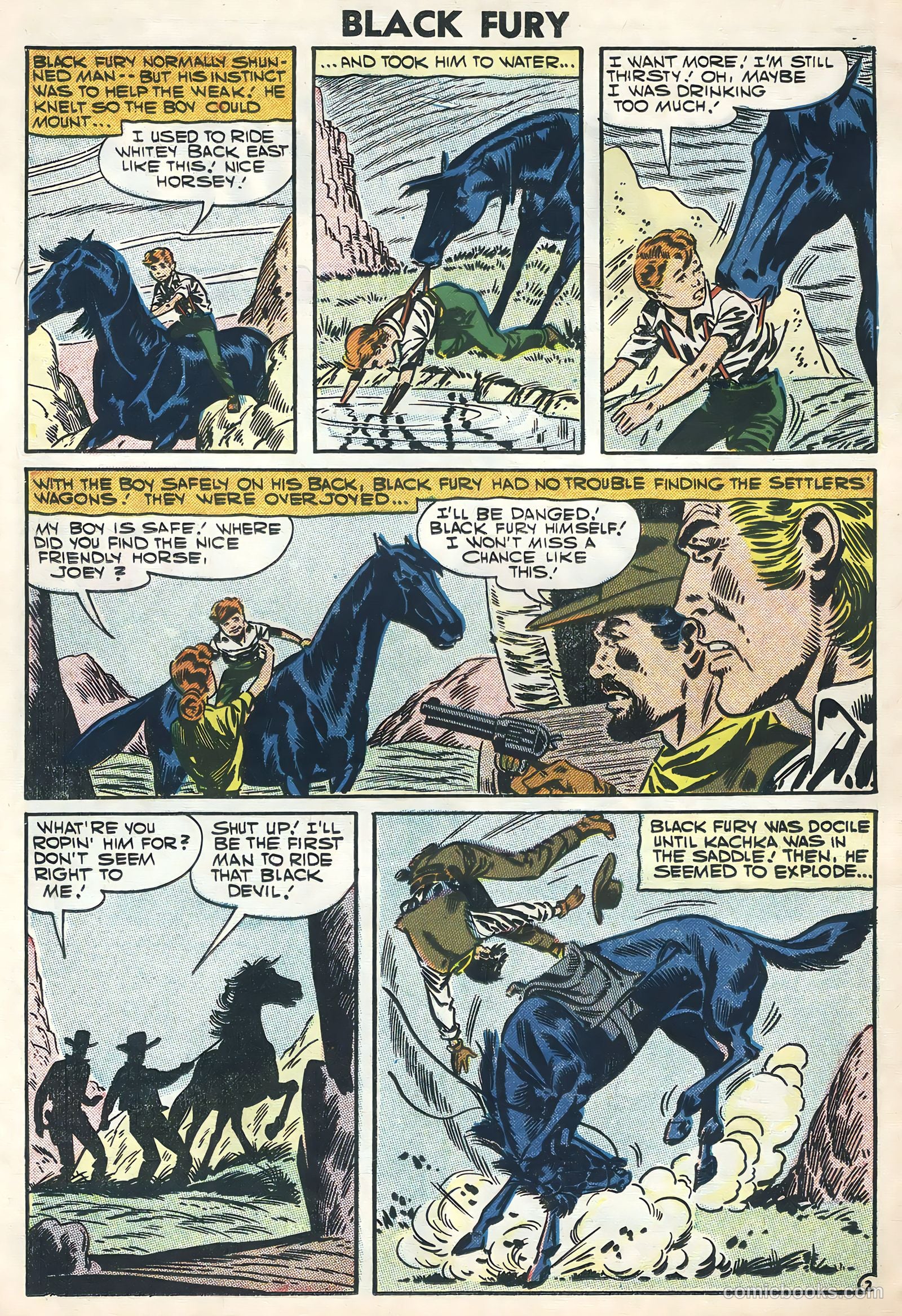 Black Fury #11 — page 26 of 36