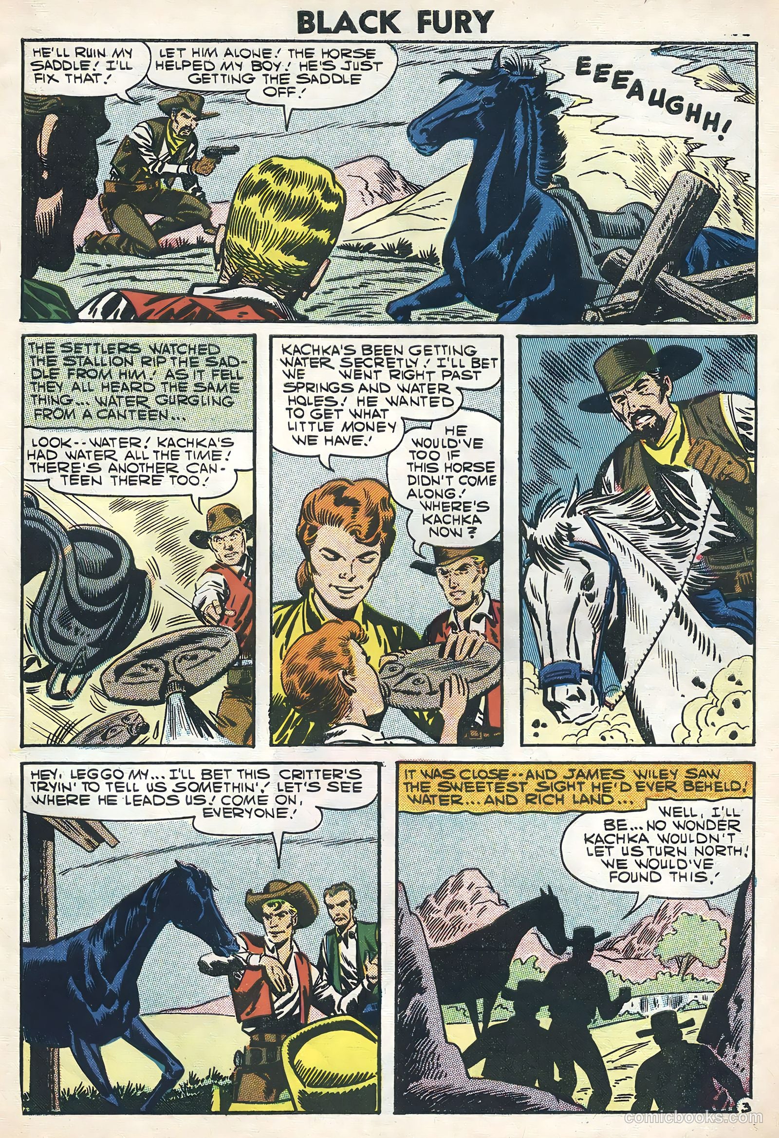 Black Fury #11 — page 27 of 36