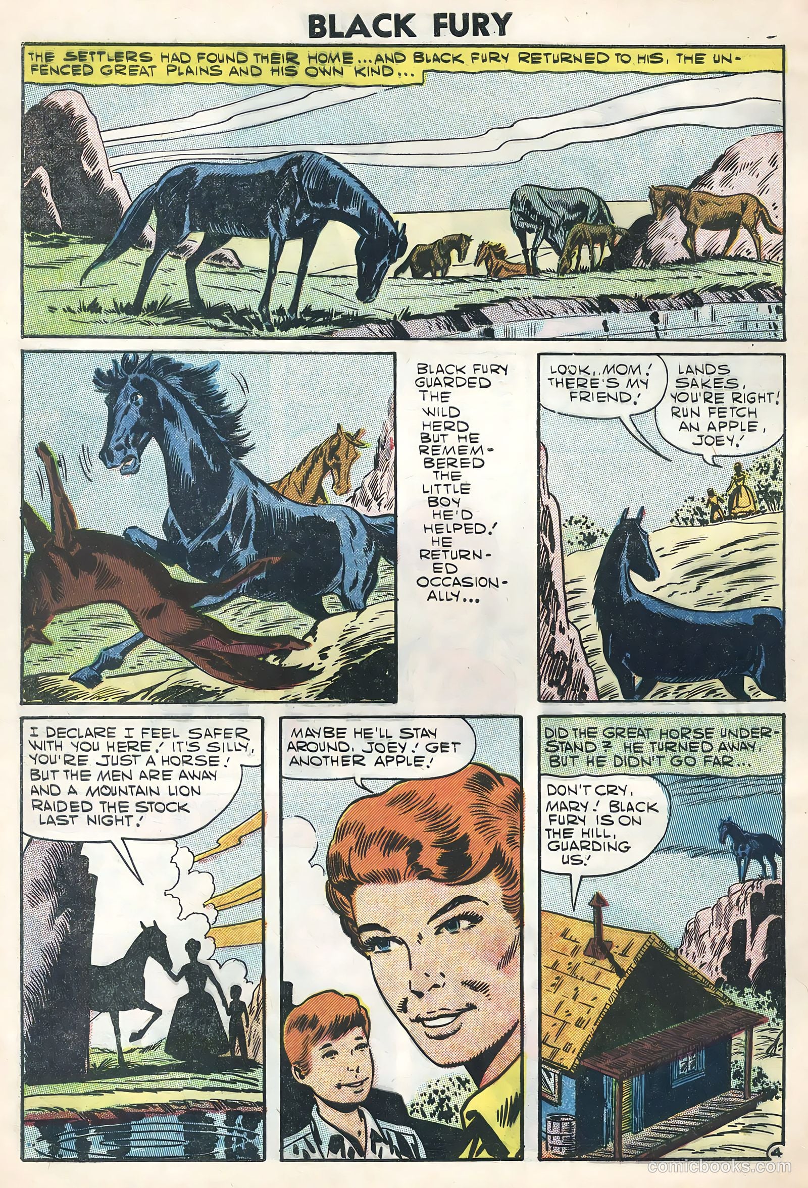 Black Fury #11 — page 28 of 36