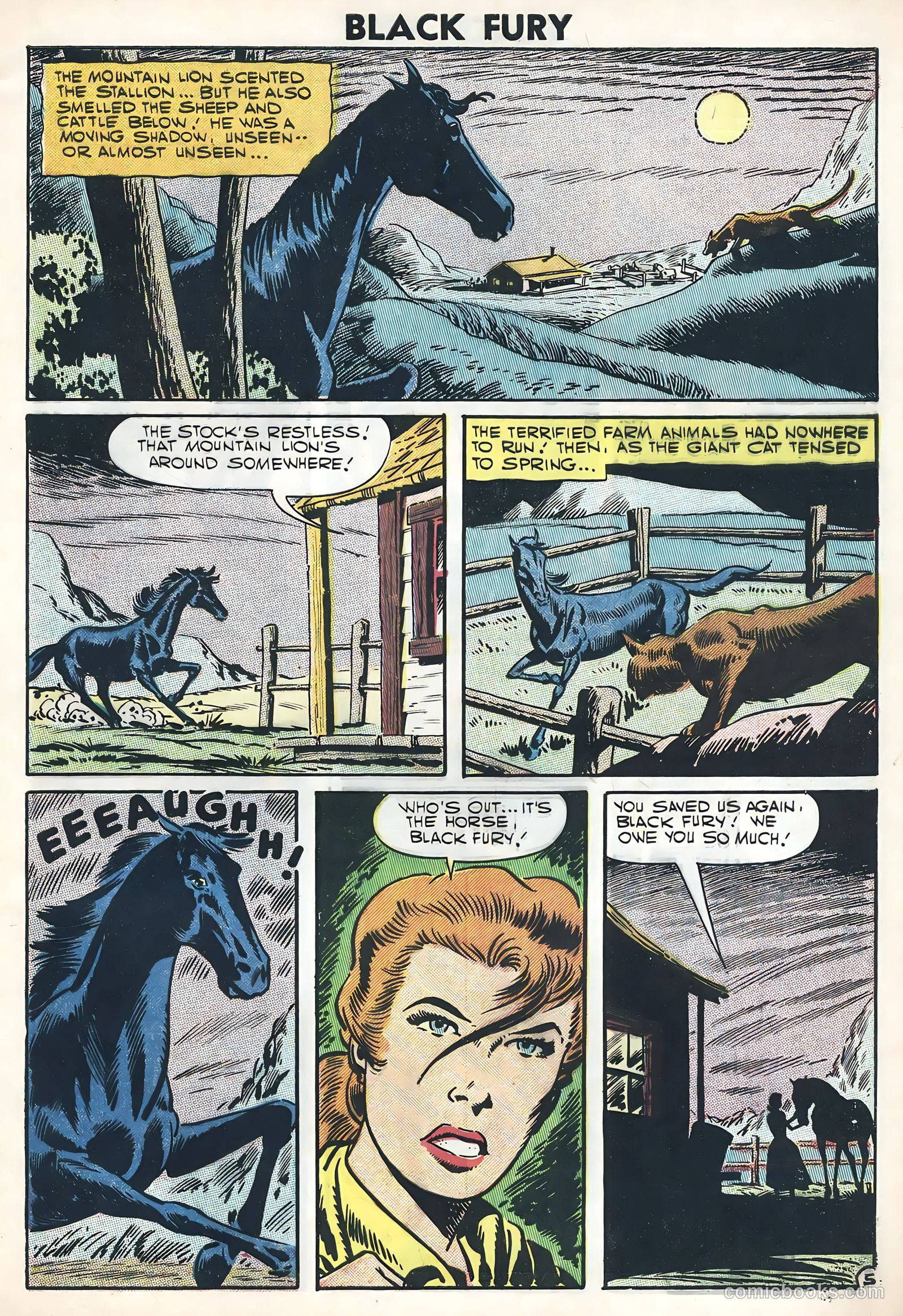 Black Fury #11 — page 29 of 36