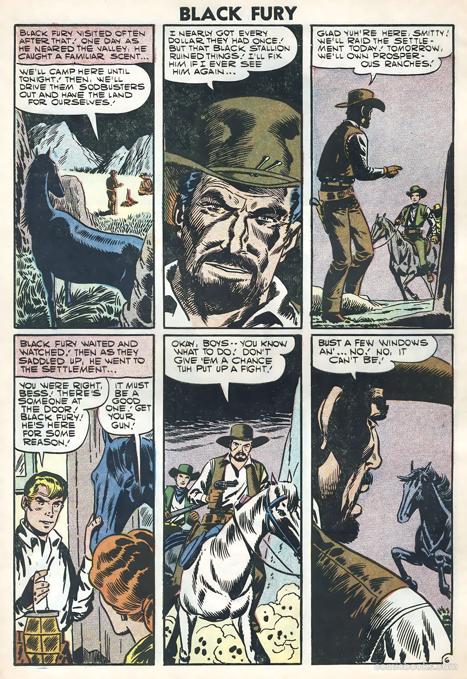 Black Fury #11 — page 30 of 36