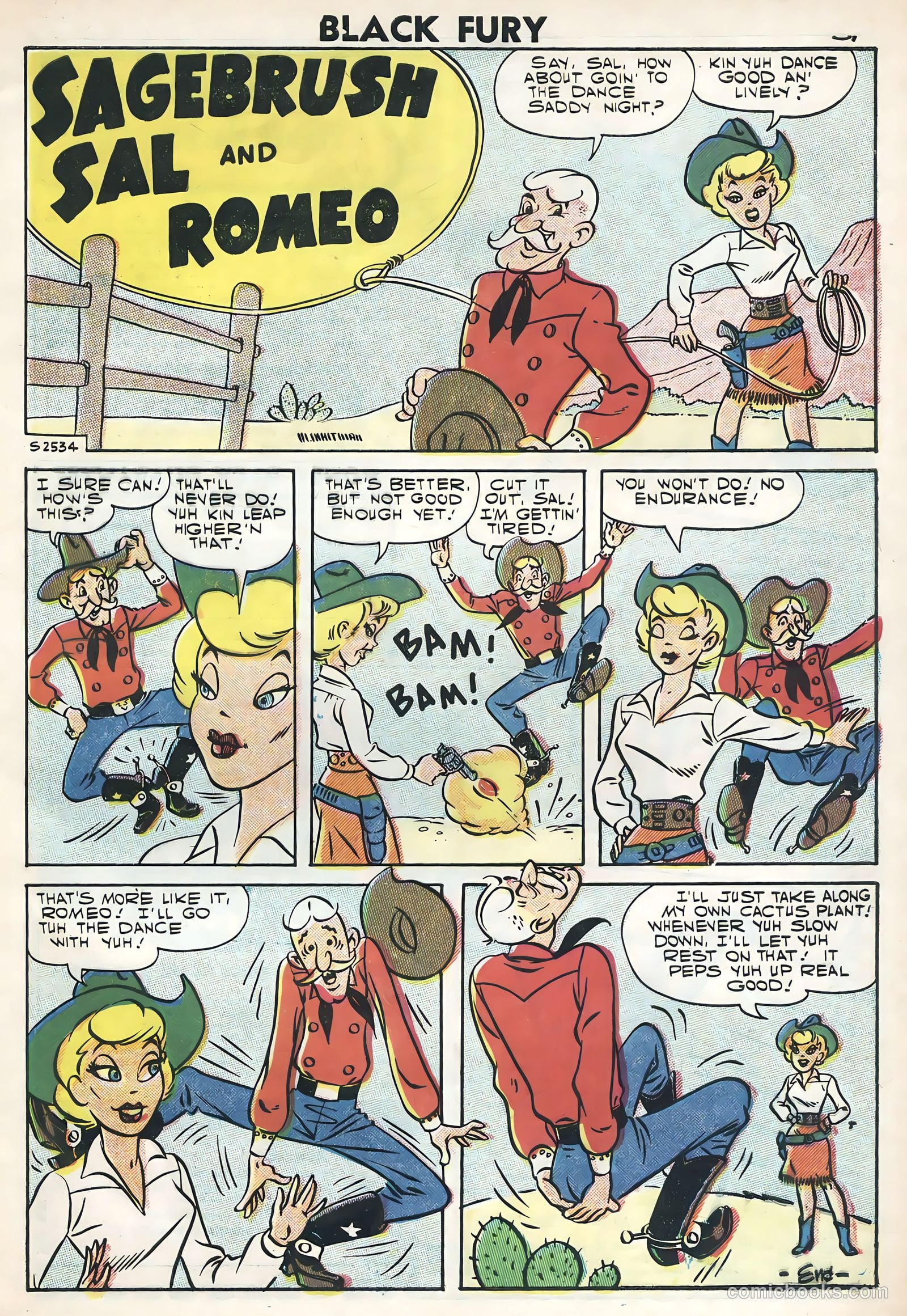 Black Fury #11 — page 33 of 36
