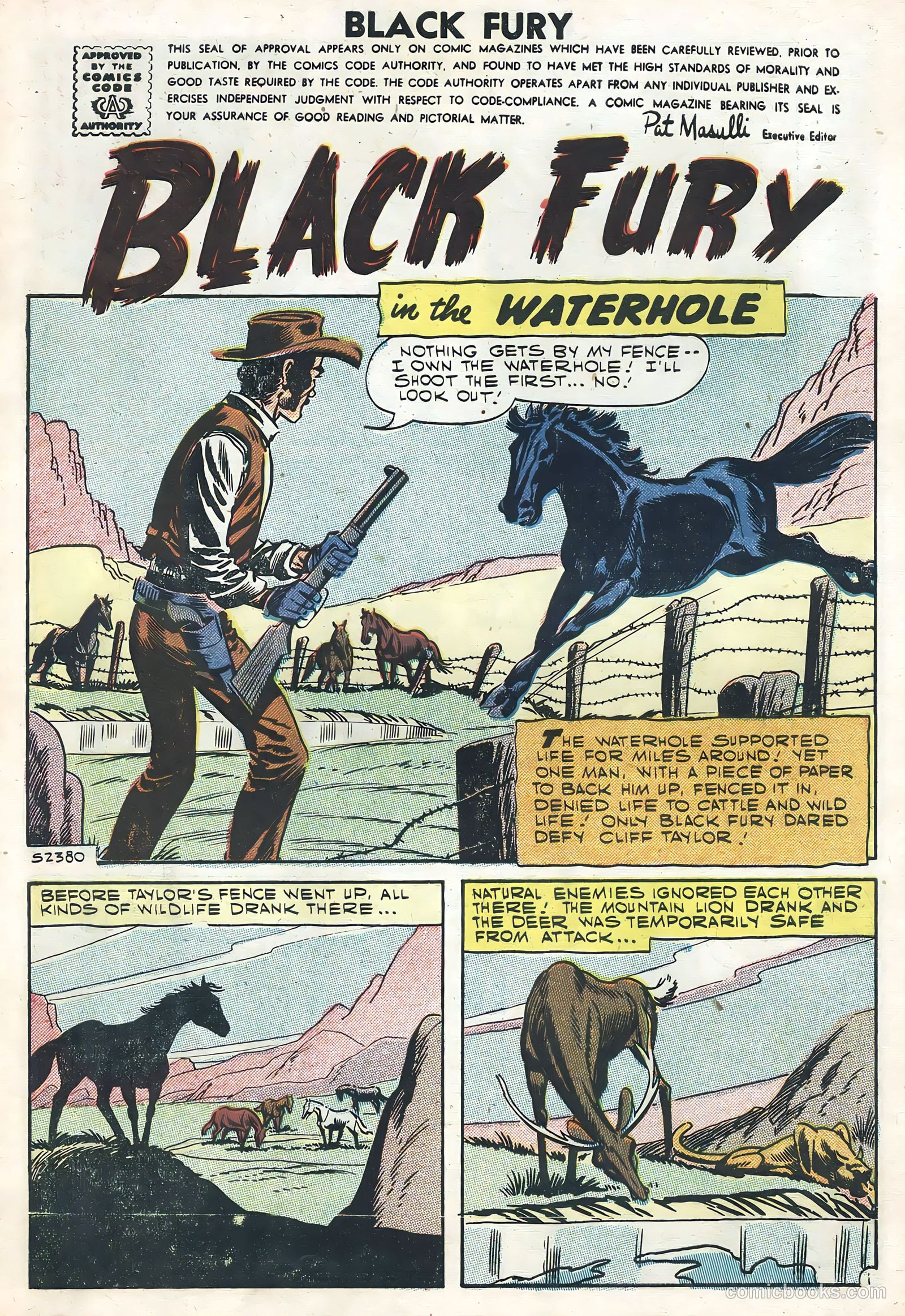 Black Fury #12 — page 3 of 36