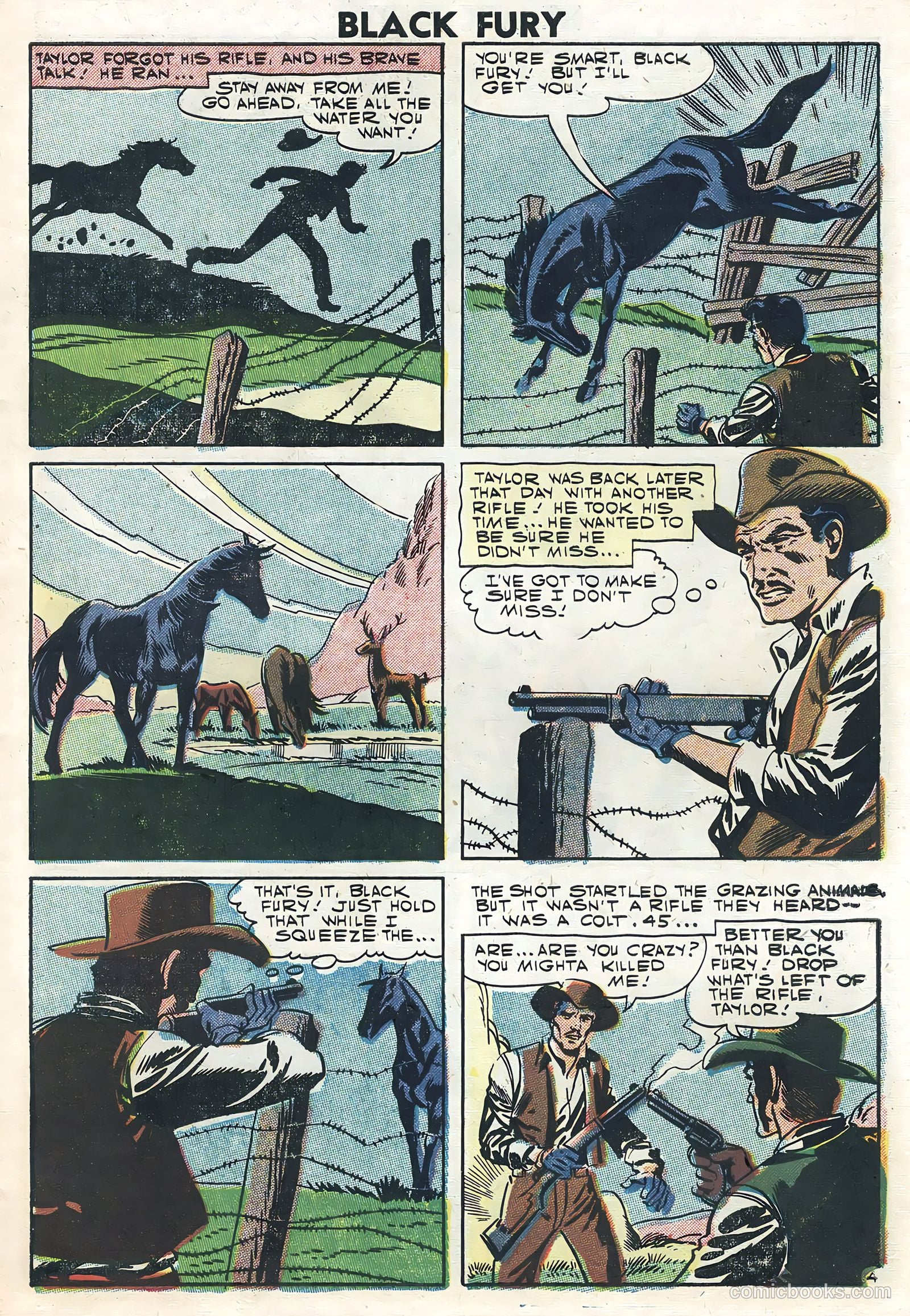 Black Fury #12 — page 7 of 36