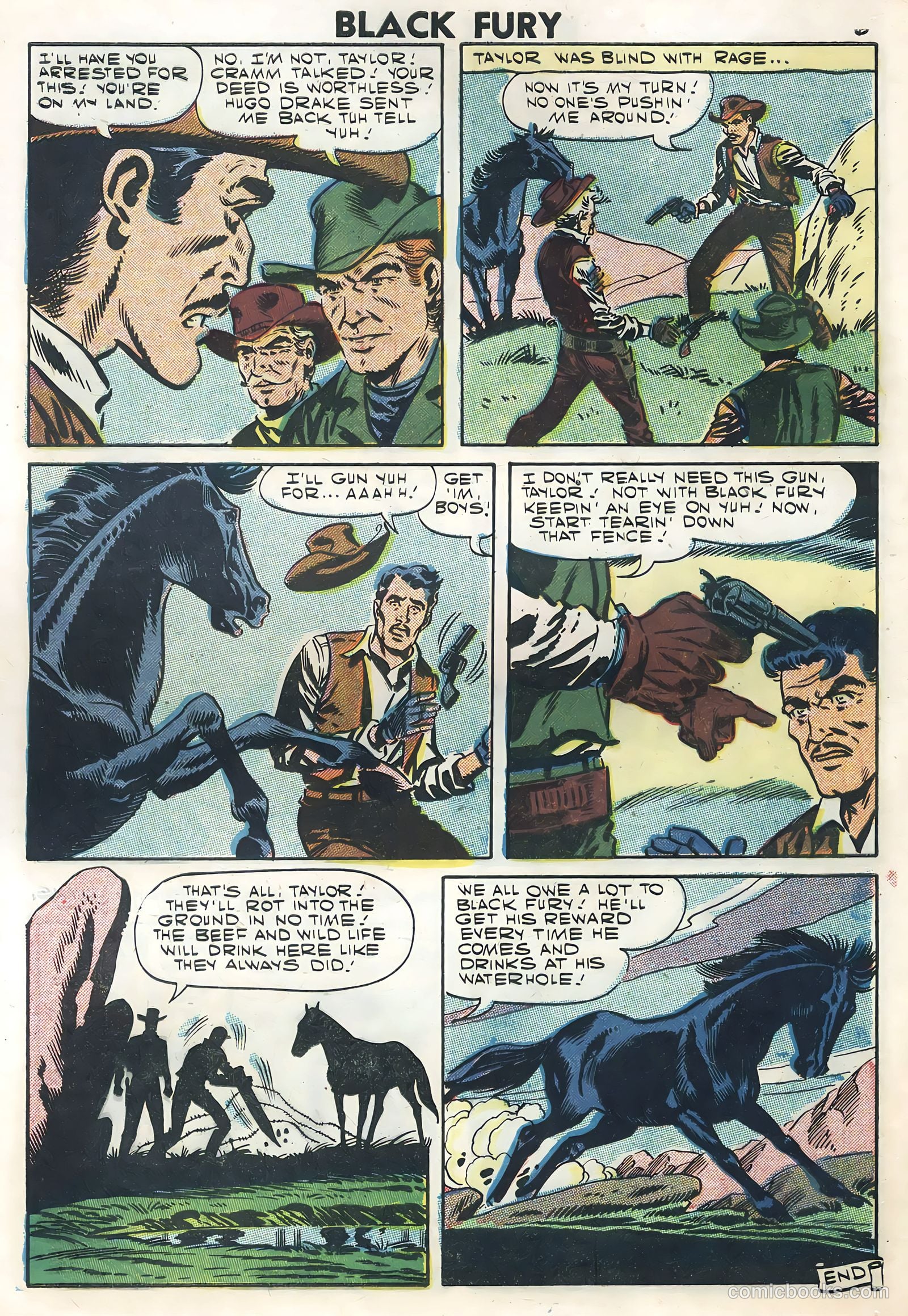 Black Fury #12 — page 8 of 36