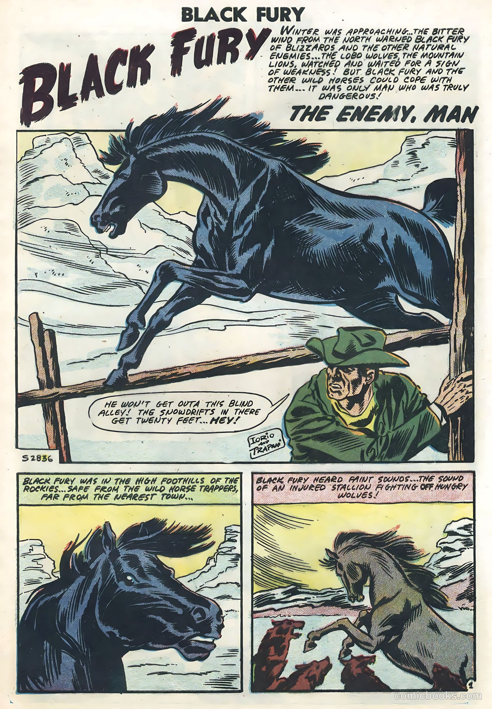 Black Fury #12 — page 9 of 36