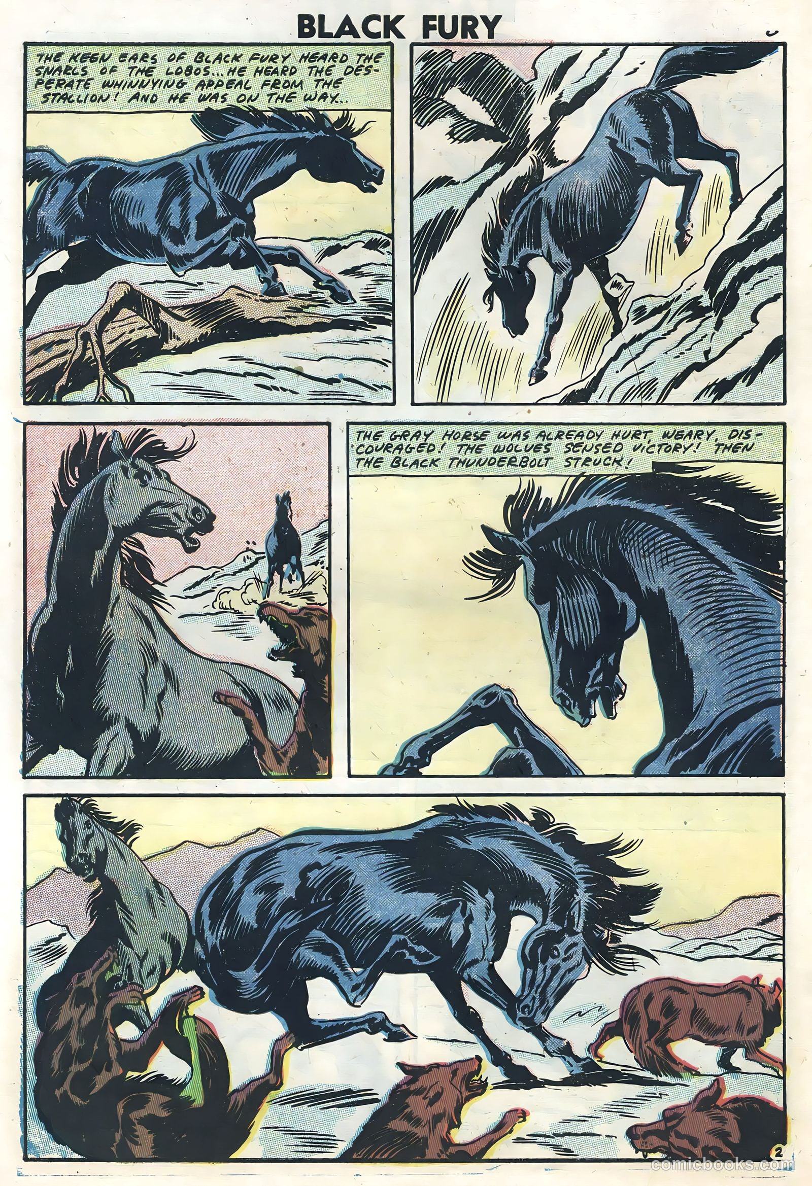 Black Fury #12 — page 10 of 36