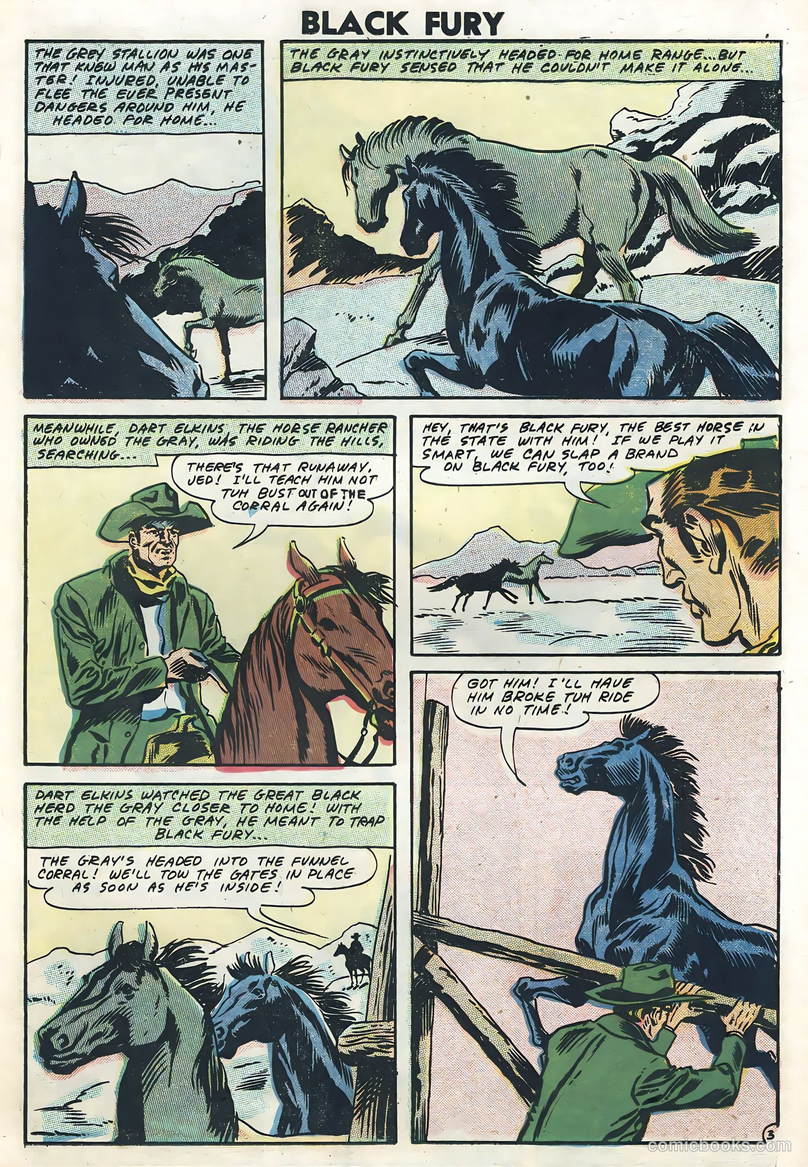 Black Fury #12 — page 11 of 36