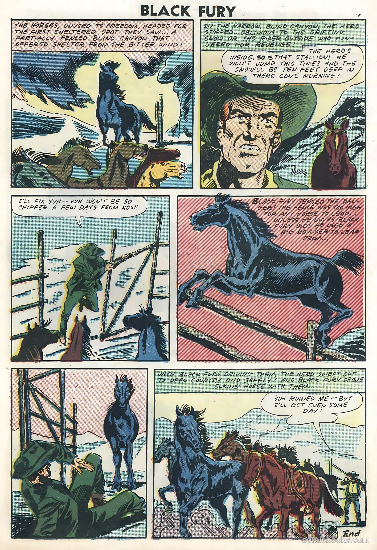Black Fury #12 — page 13 of 36