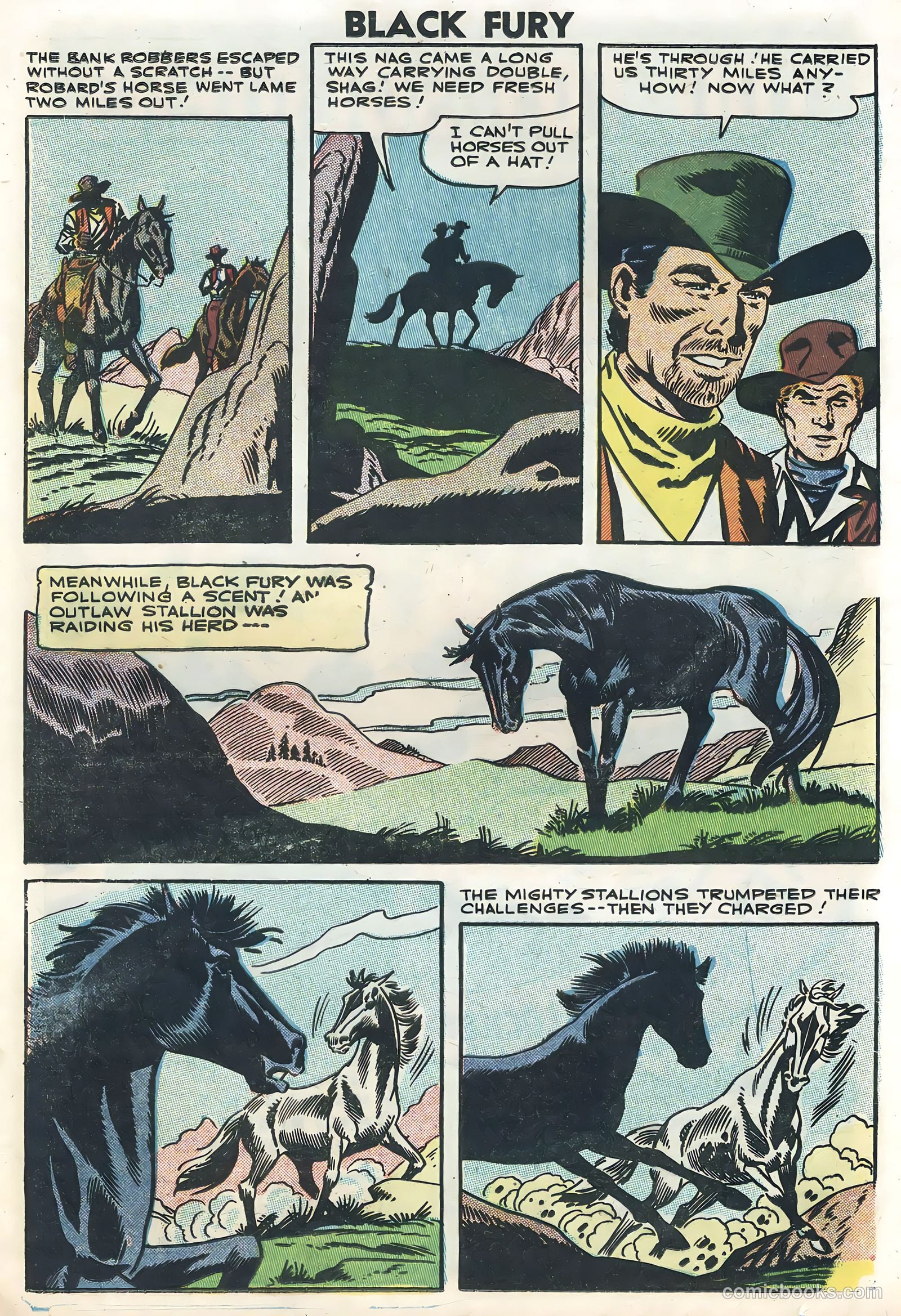 Black Fury #12 — page 21 of 36