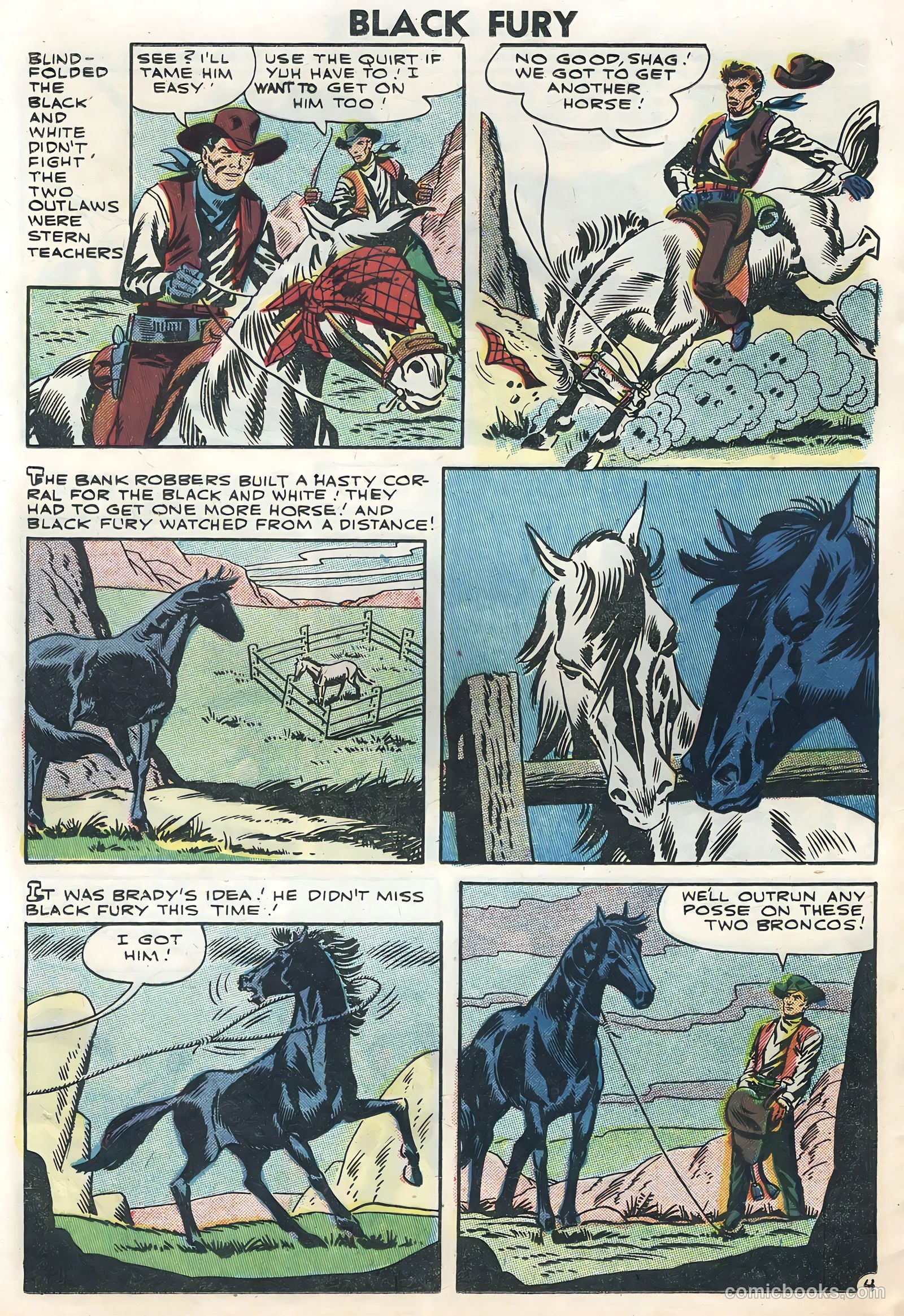 Black Fury #12 — page 24 of 36