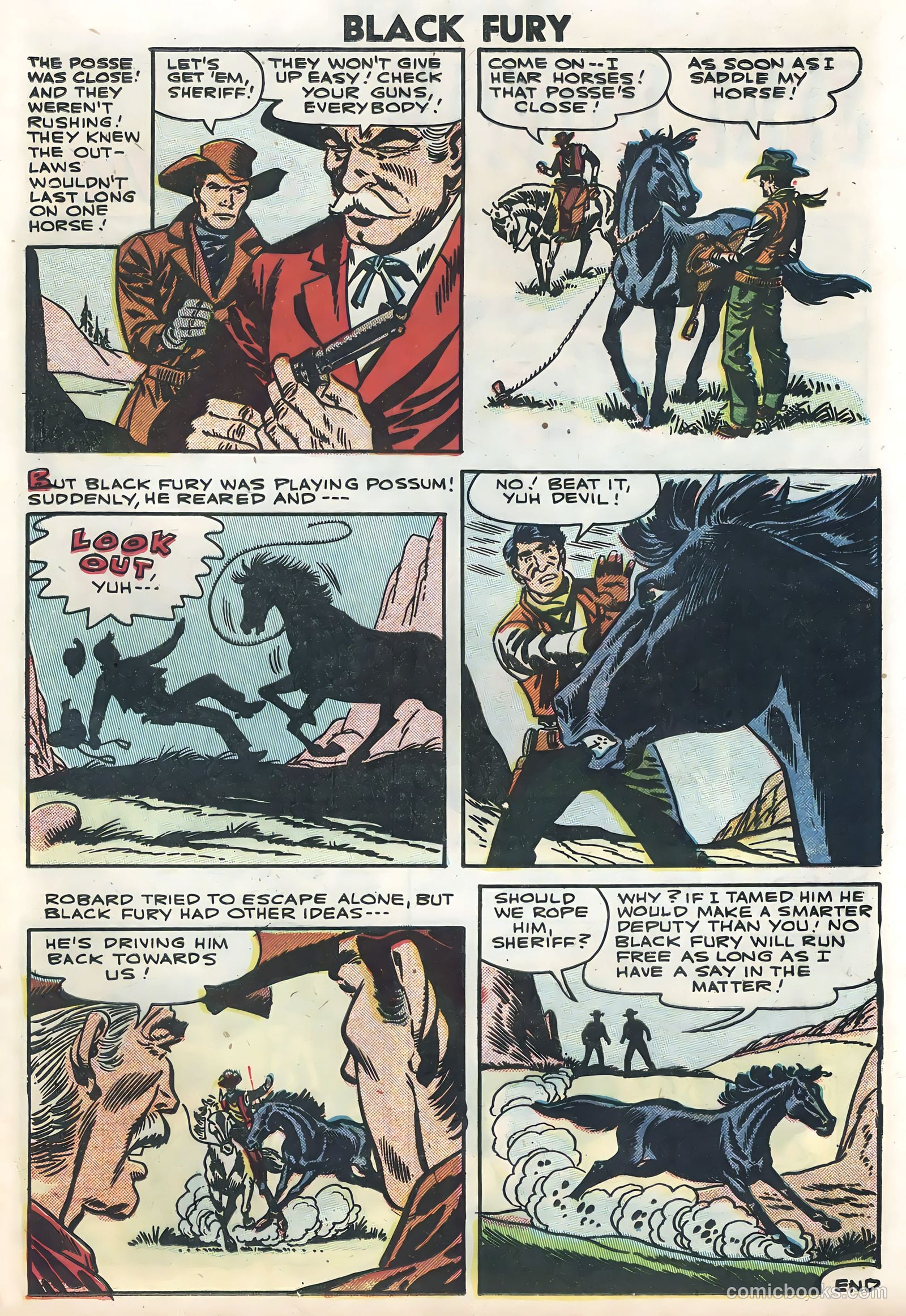 Black Fury #12 — page 25 of 36