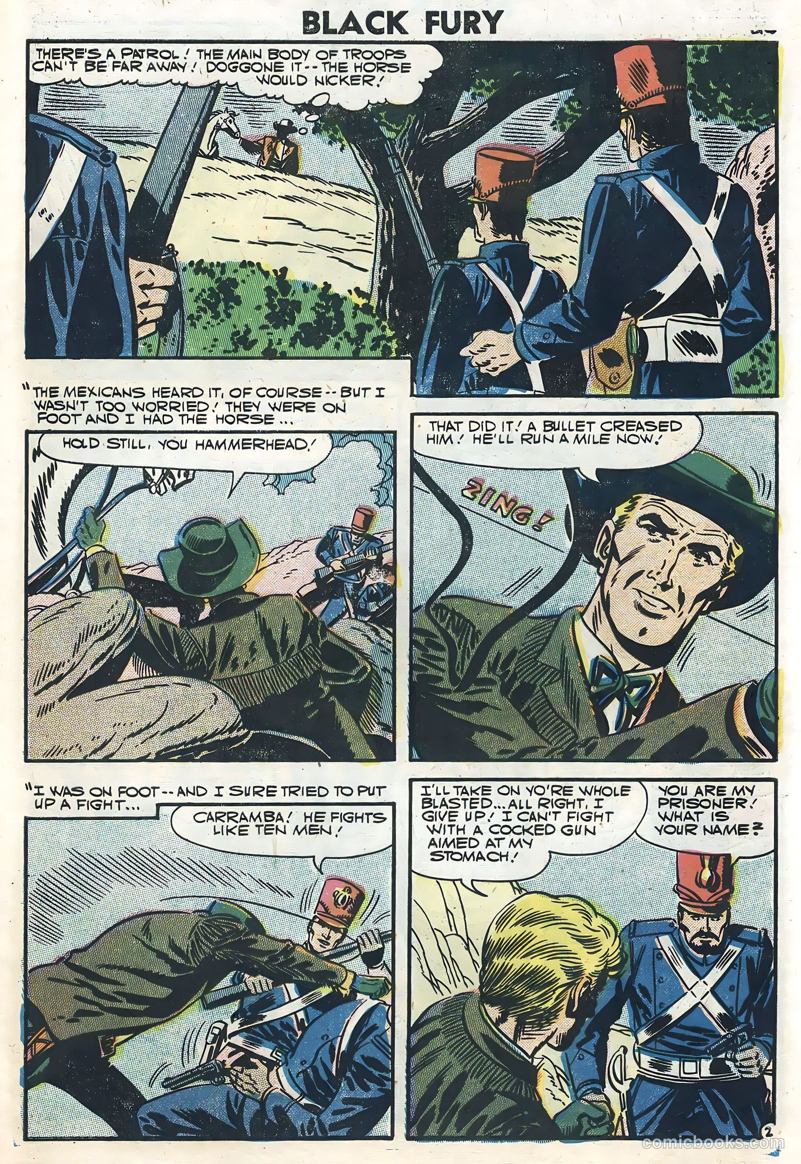Black Fury #12 — page 27 of 36
