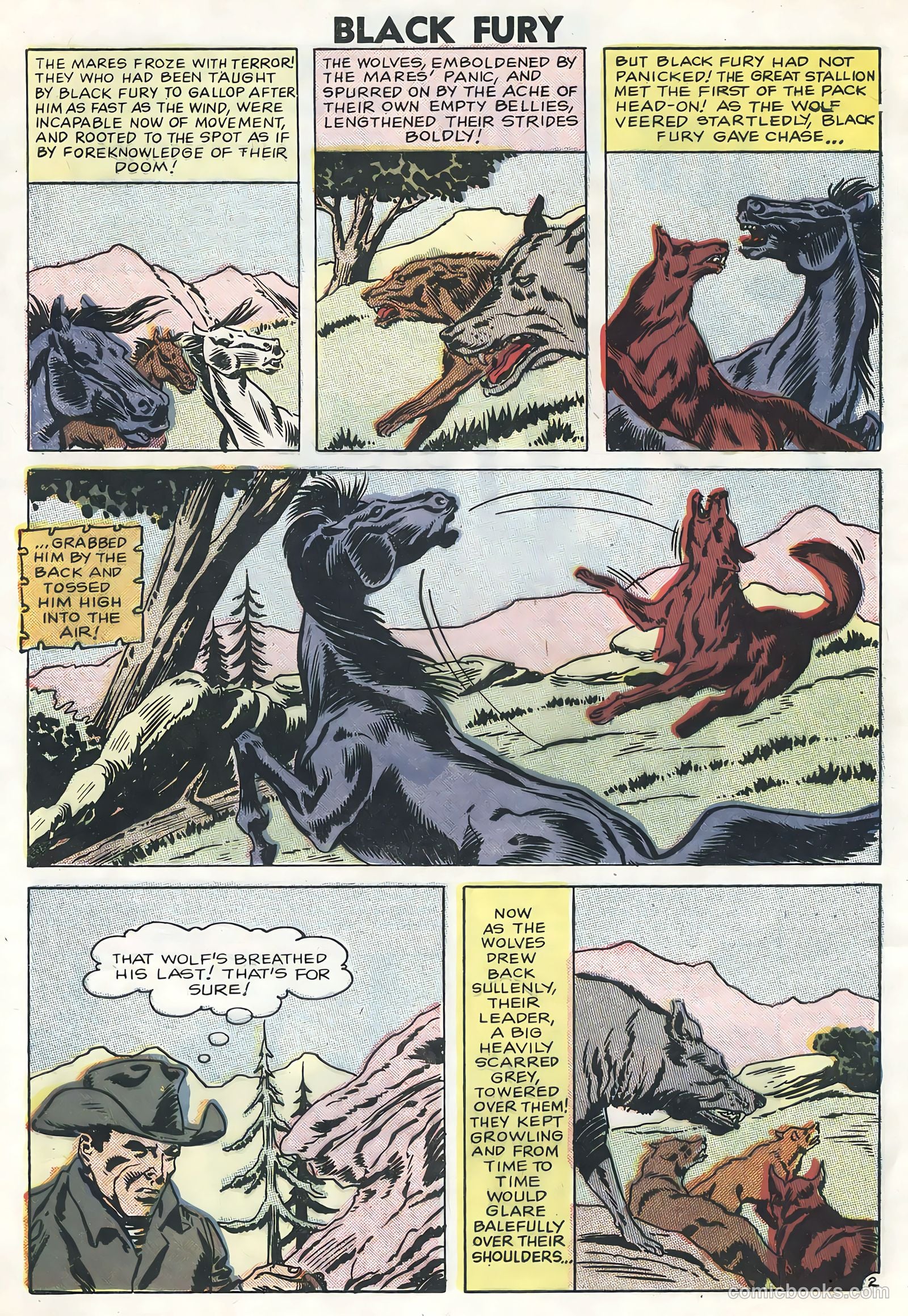 Black Fury #13 — page 4 of 36