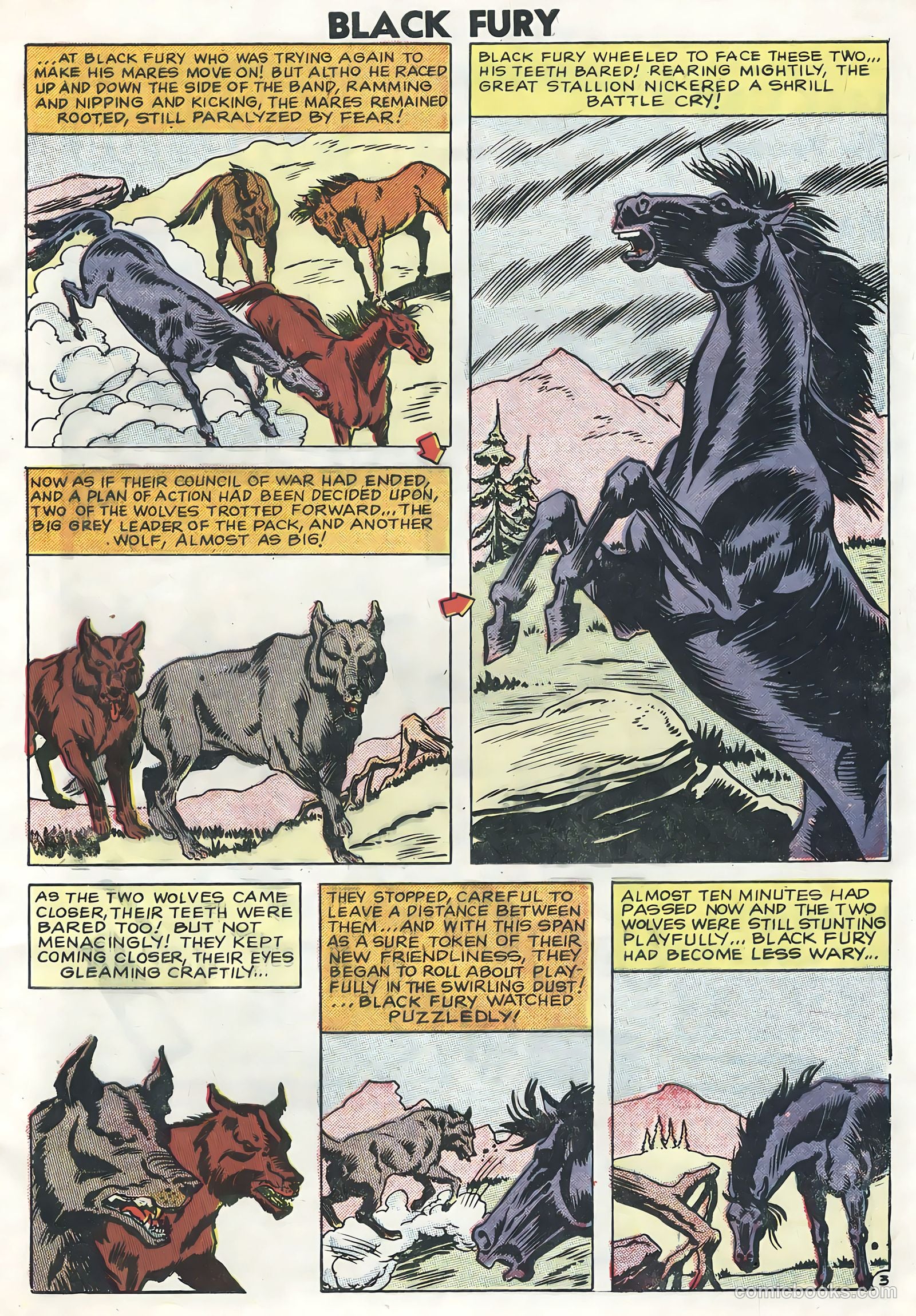 Black Fury #13 — page 5 of 36
