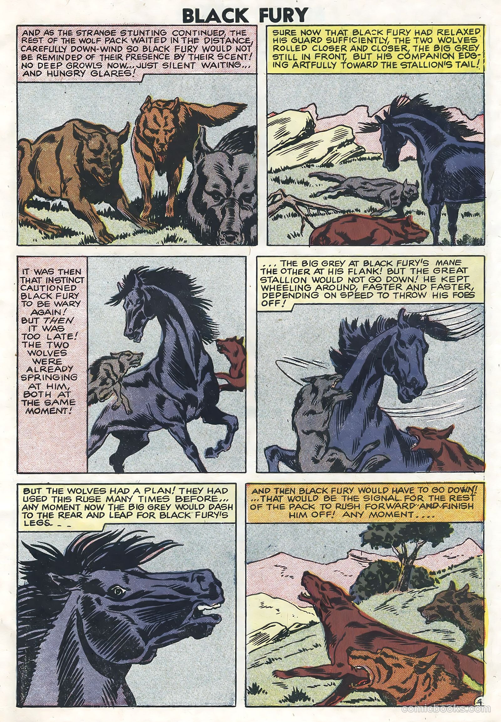 Black Fury #13 — page 7 of 36