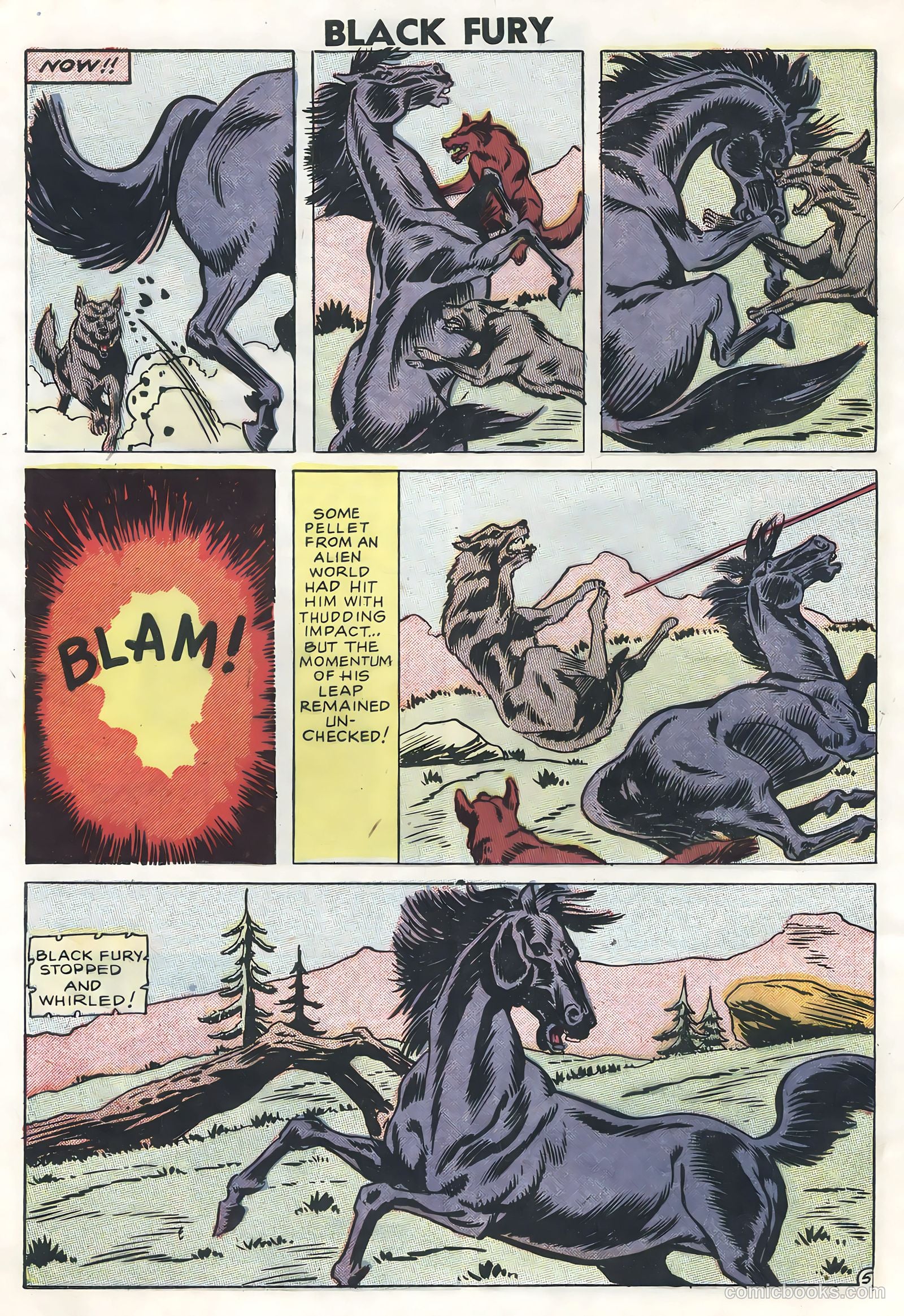 Black Fury #13 — page 8 of 36
