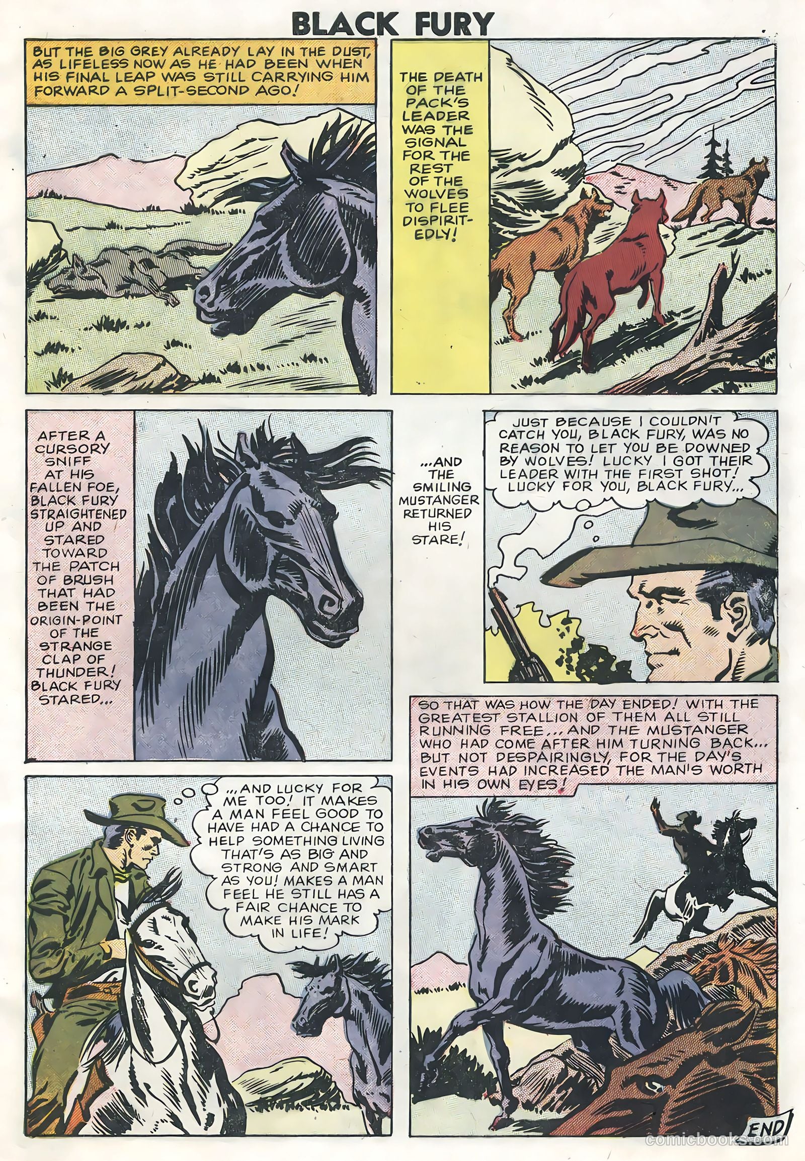 Black Fury #13 — page 9 of 36