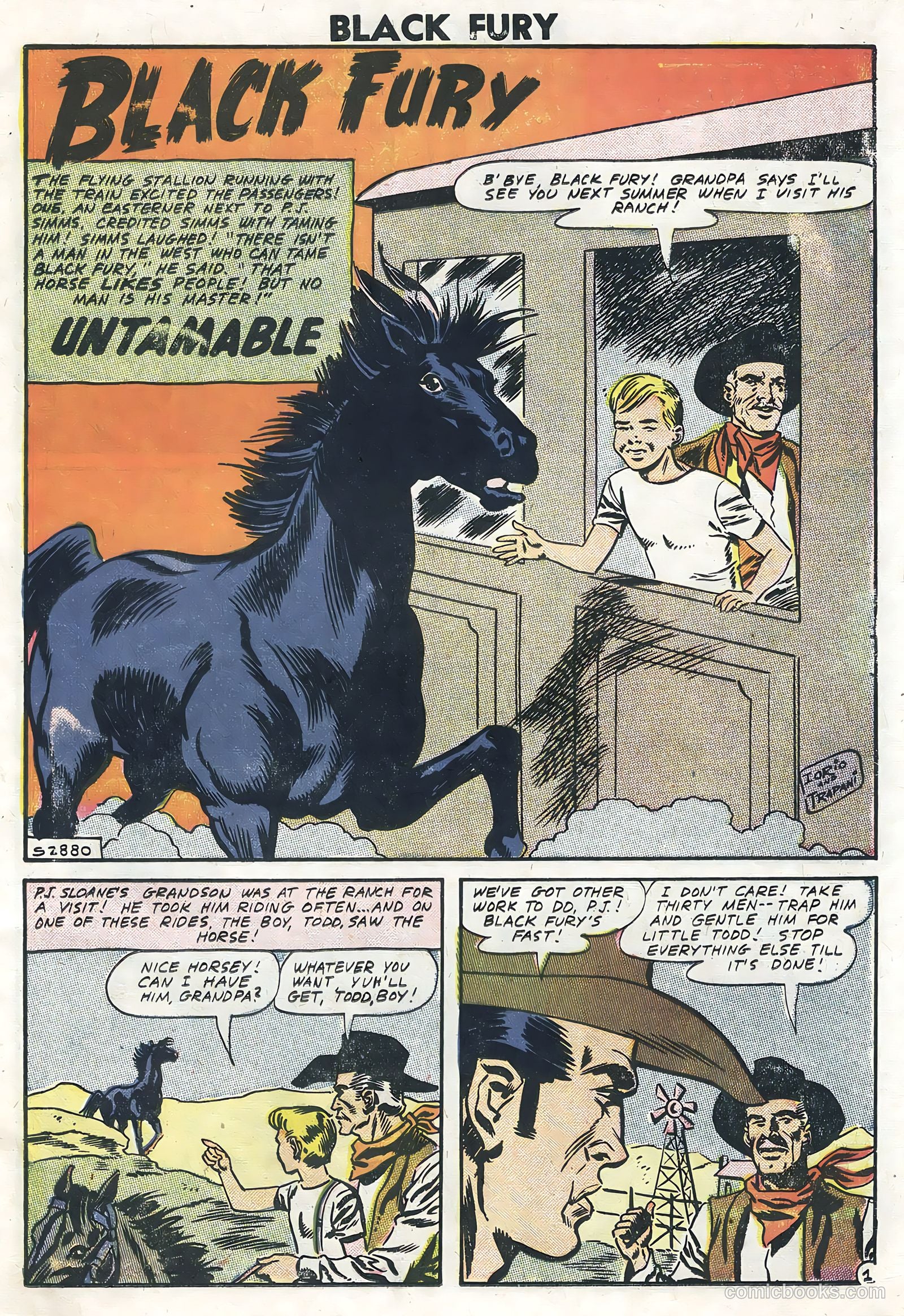 Black Fury #13 — page 11 of 36