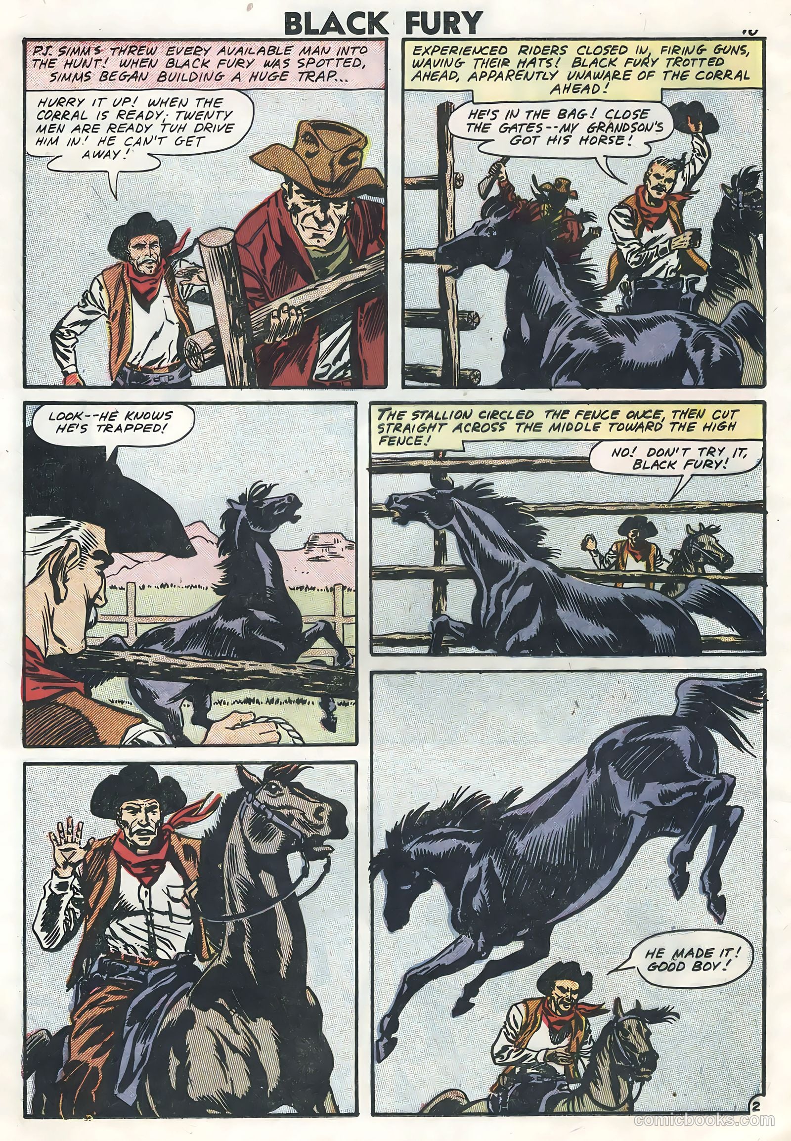 Black Fury #13 — page 12 of 36
