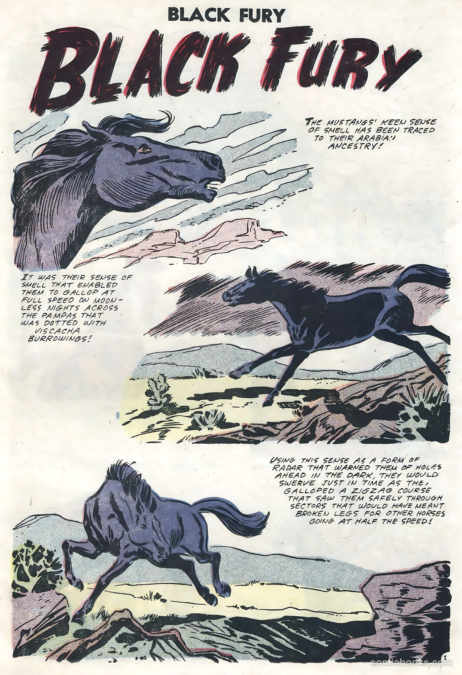 Black Fury #13 — page 19 of 36