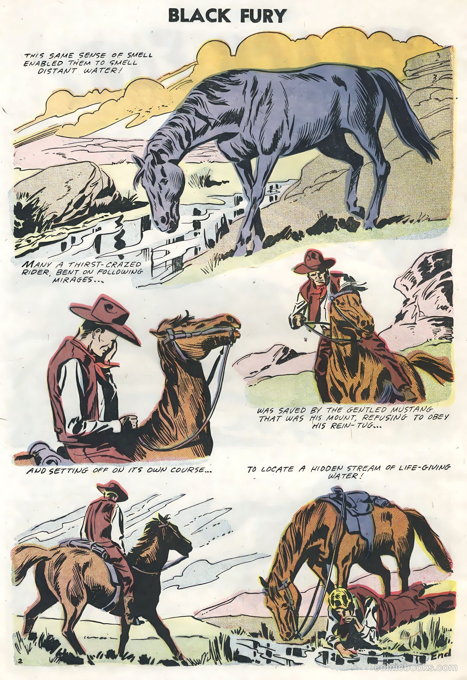 Black Fury #13 — page 20 of 36