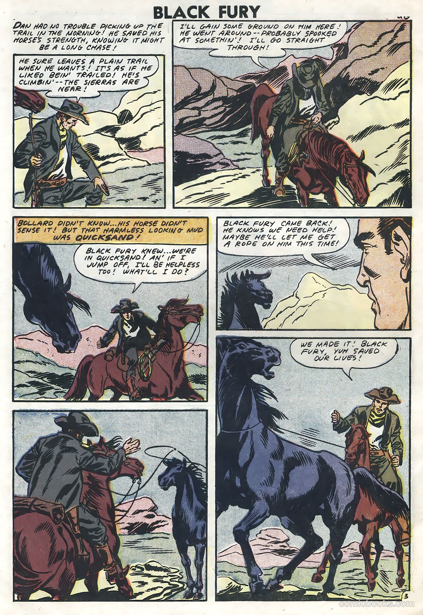 Black Fury #13 — page 30 of 36