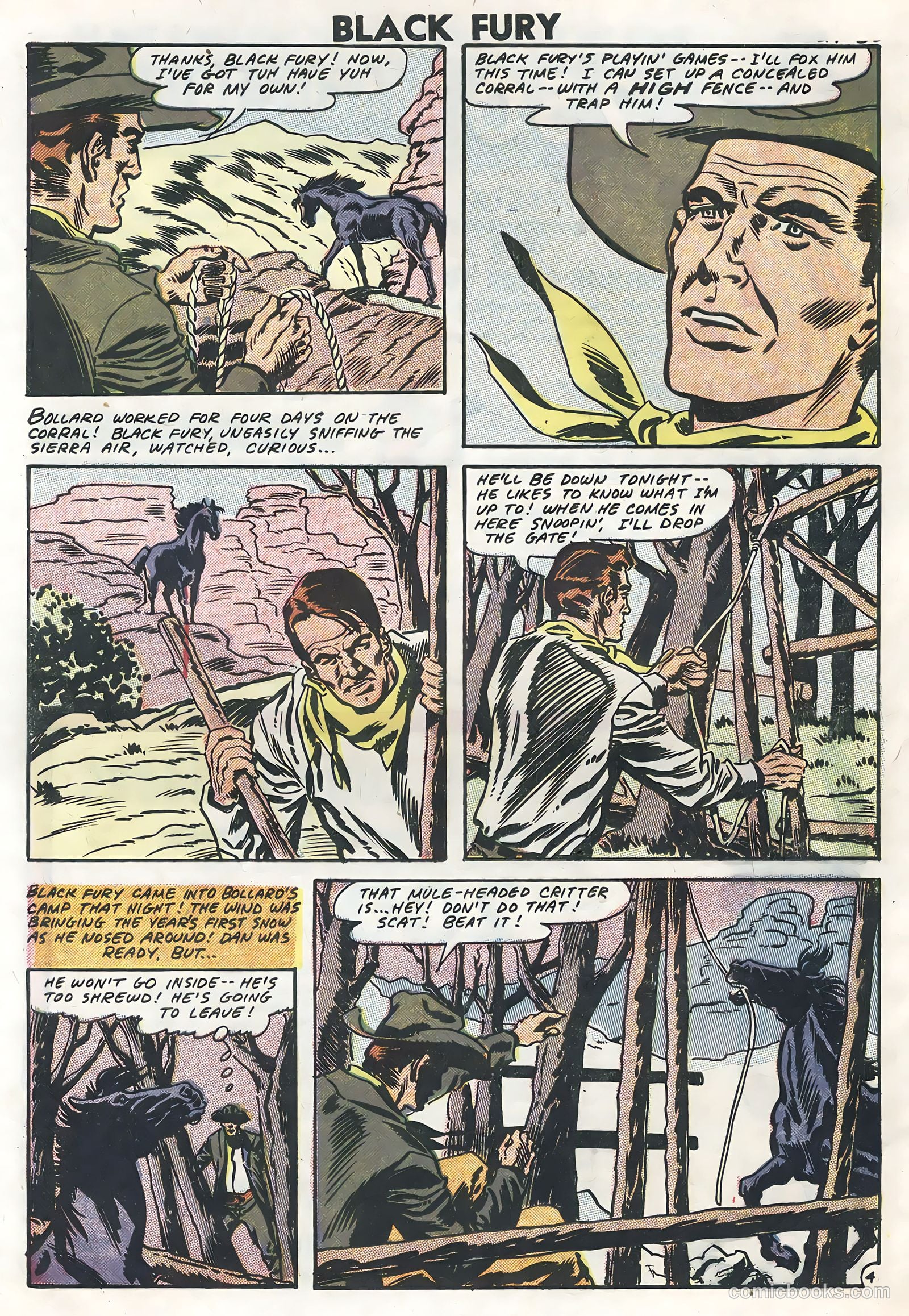 Black Fury #13 — page 32 of 36