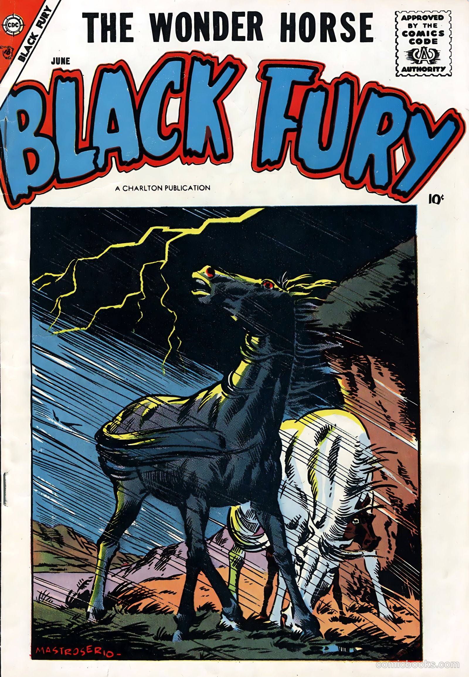 Black Fury #14 — page 1 of 36