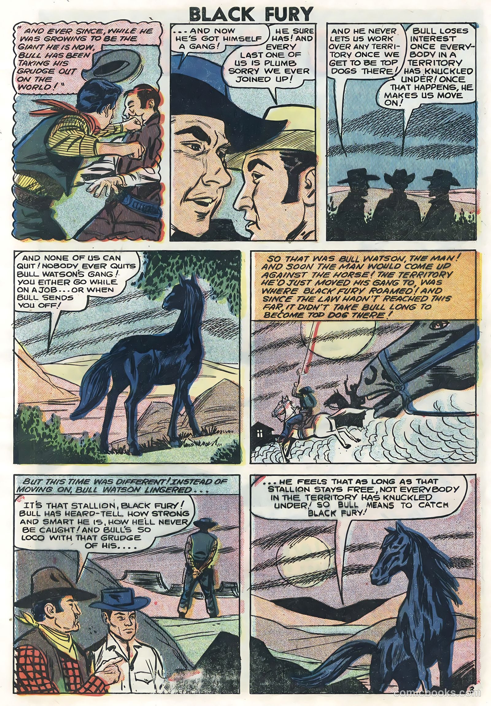 Black Fury #14 — page 5 of 36