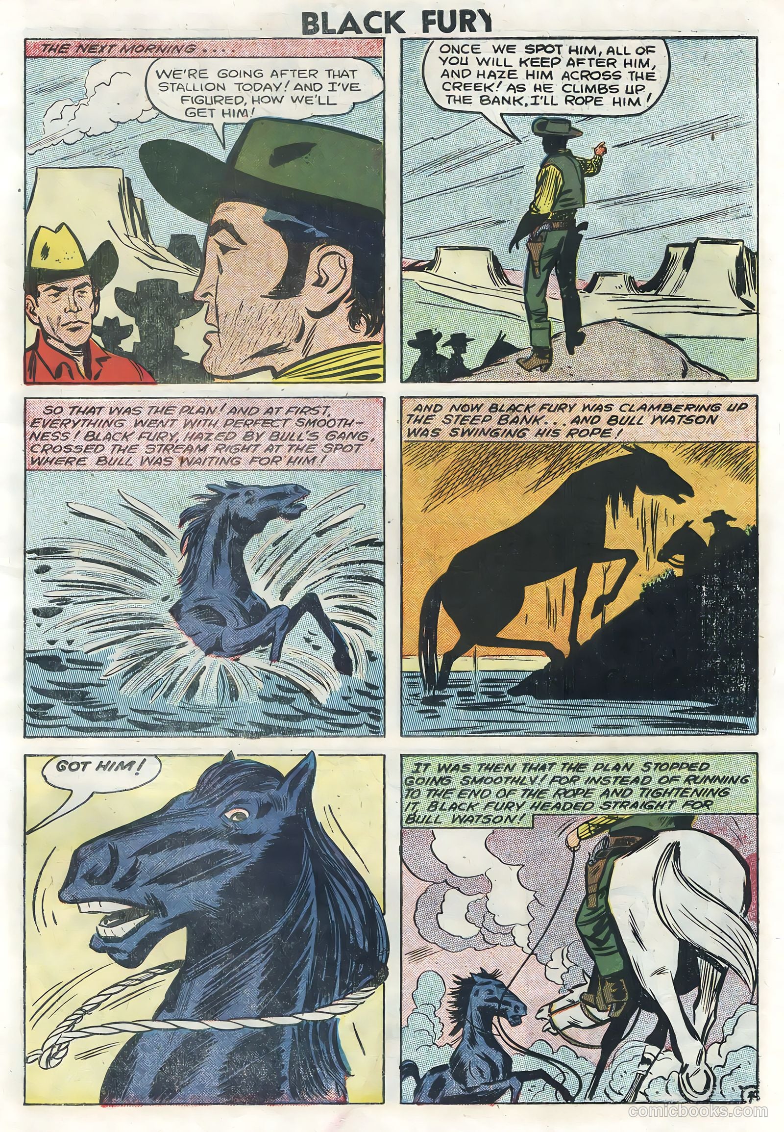 Black Fury #14 — page 7 of 36