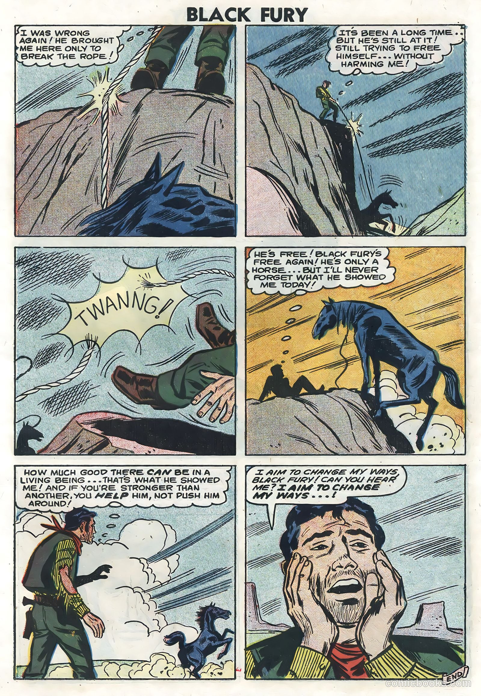 Black Fury #14 — page 11 of 36