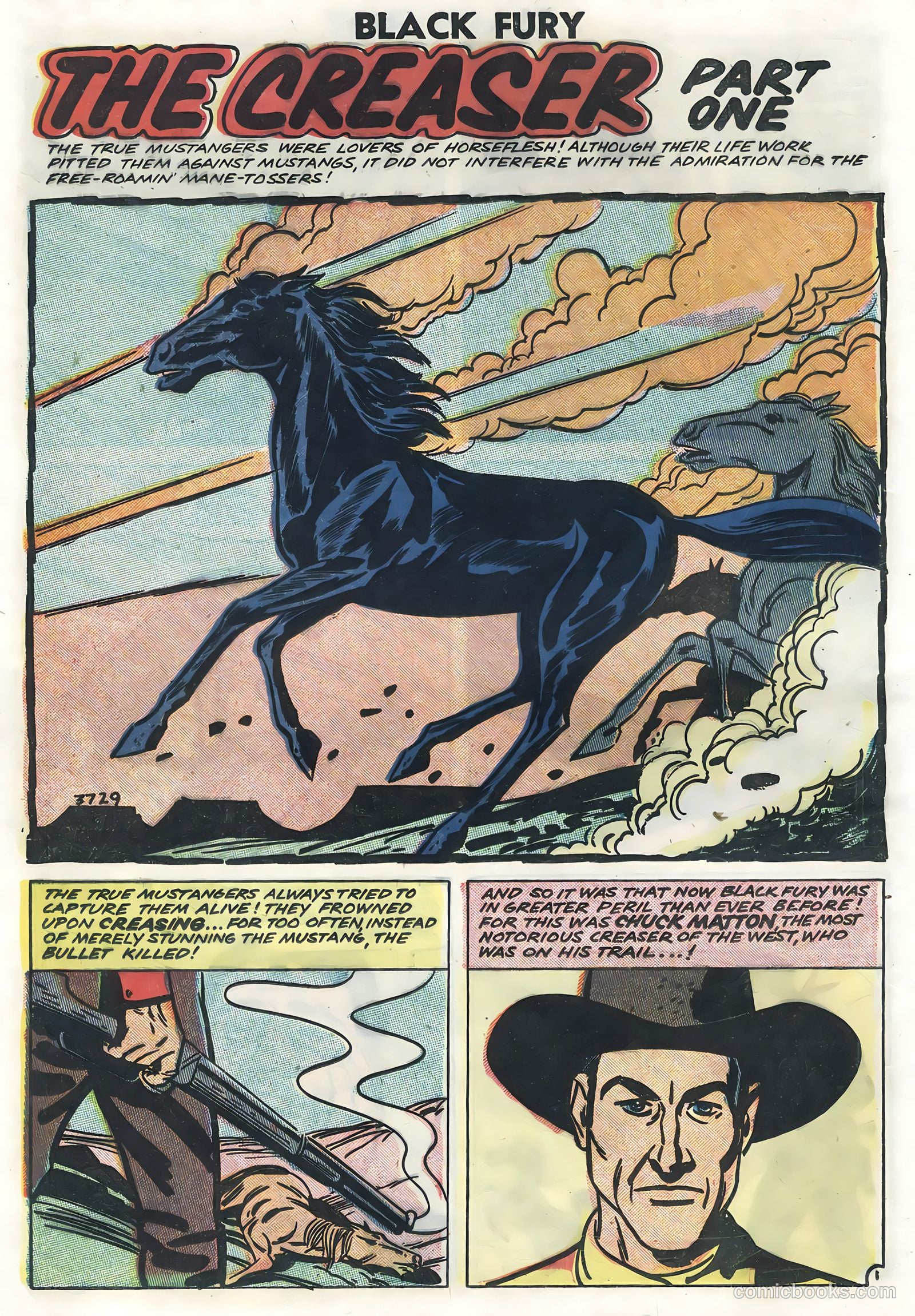 Black Fury #14 — page 12 of 36