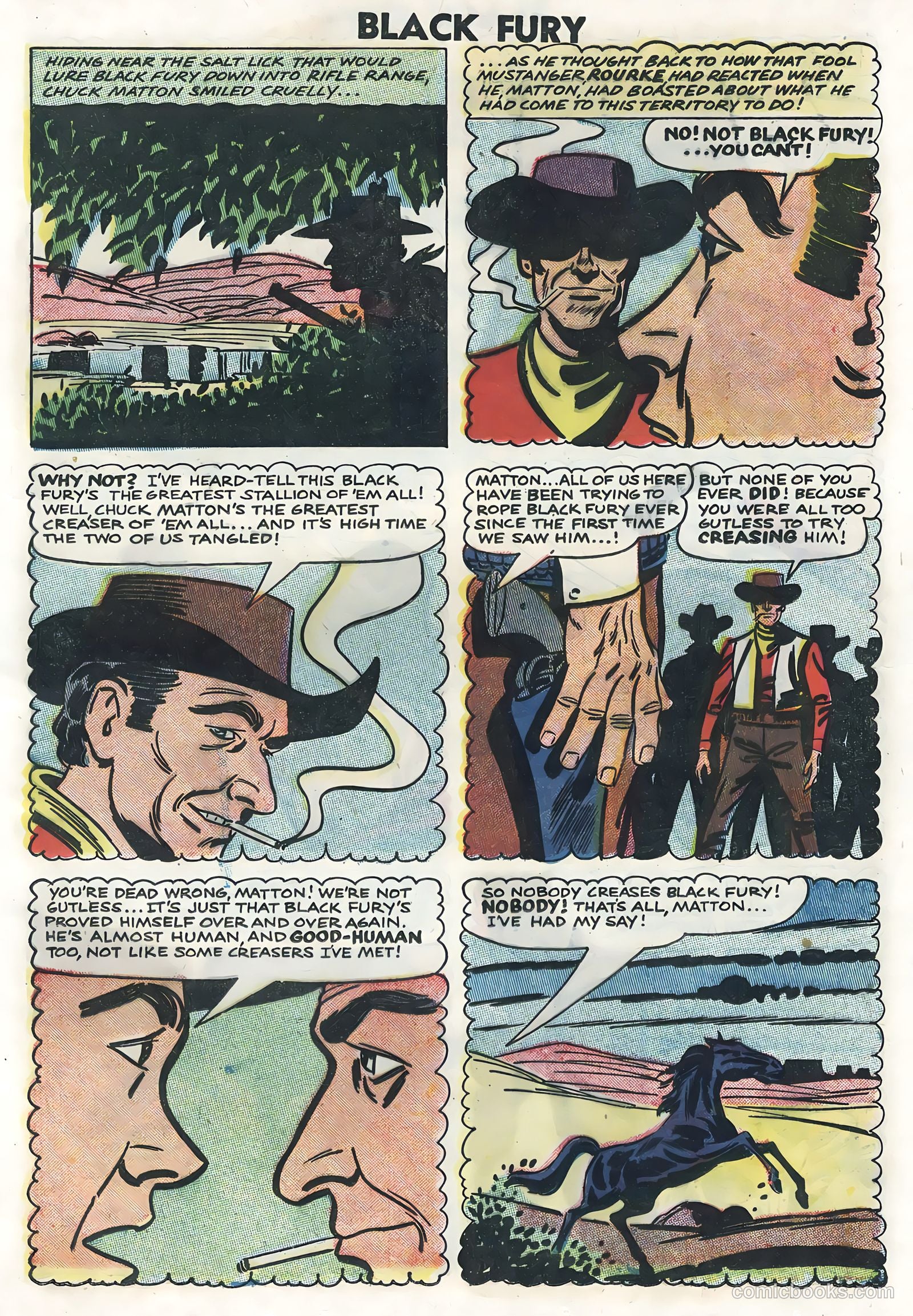 Black Fury #14 — page 13 of 36