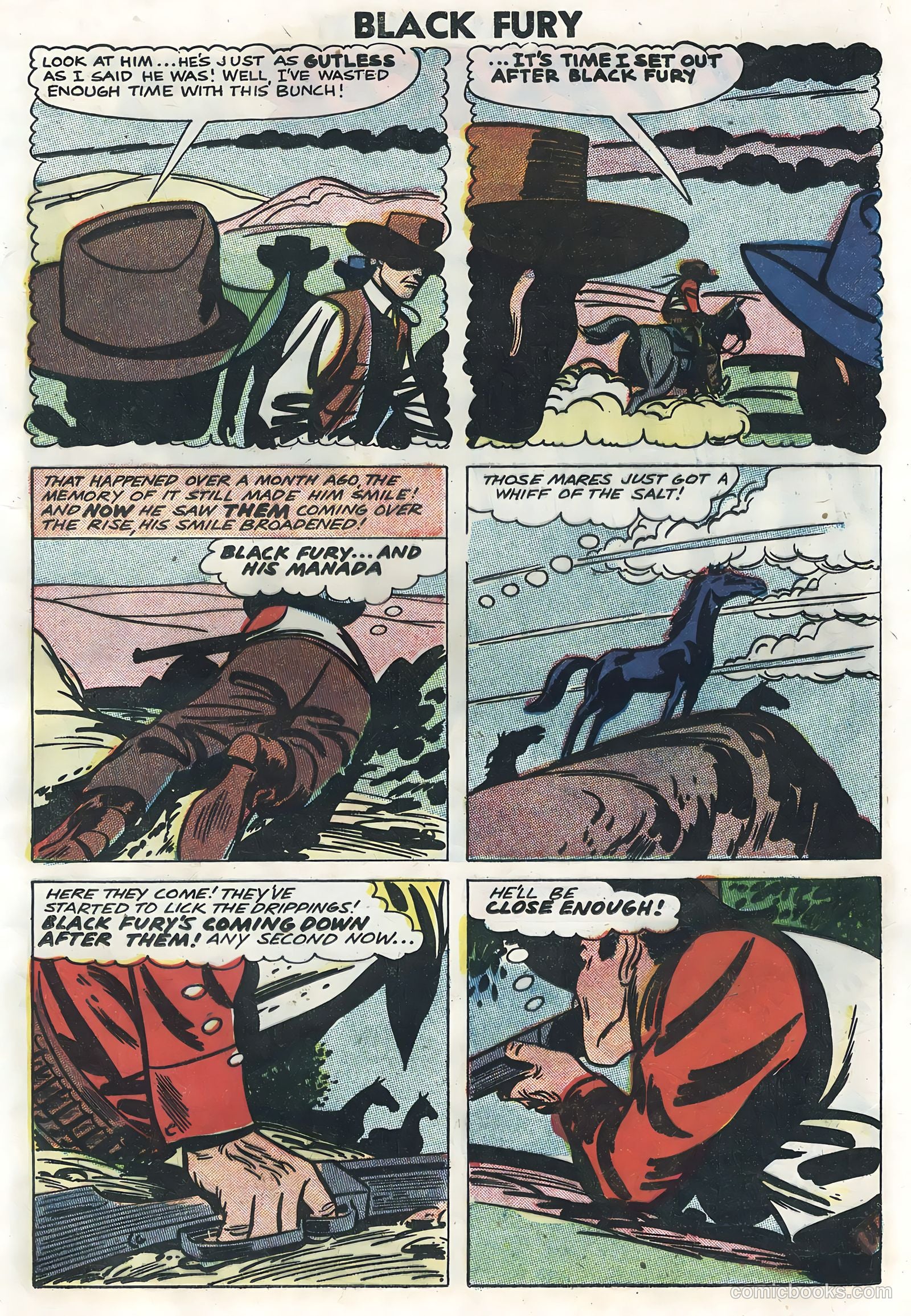 Black Fury #14 — page 17 of 36